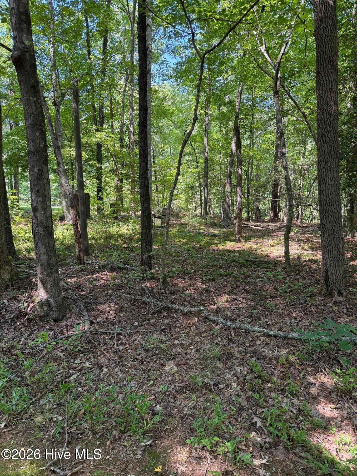 153 Omaha Drive, Louisburg, NC 27549