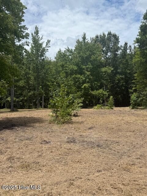 Residential Land at 175 143 Colleton Circle, Edenton, NC 27932, photo 5 of 13