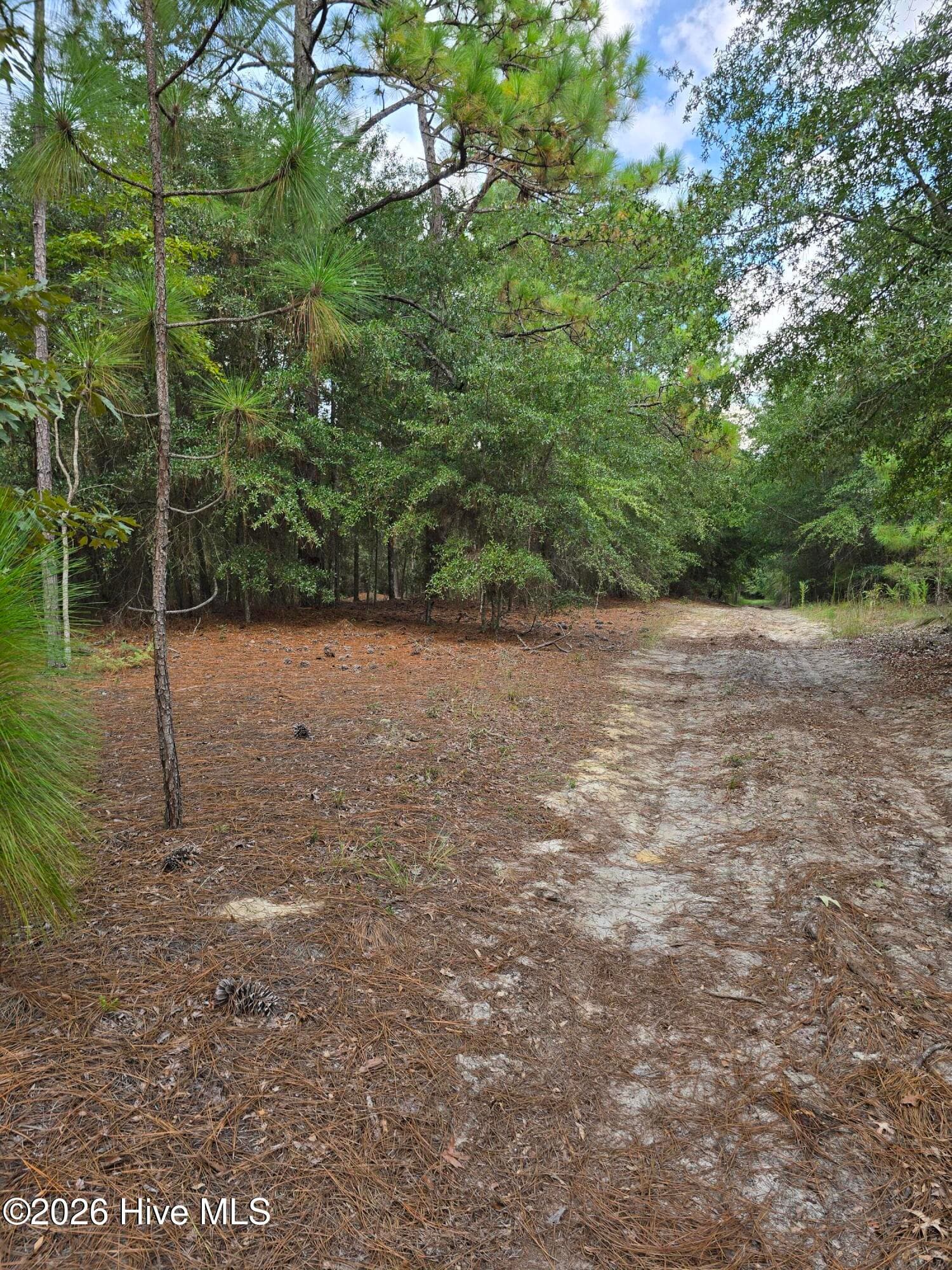 Mixed Use at 317 R J Johnson Road, Allendale, SC 29810, photo 3 of 8