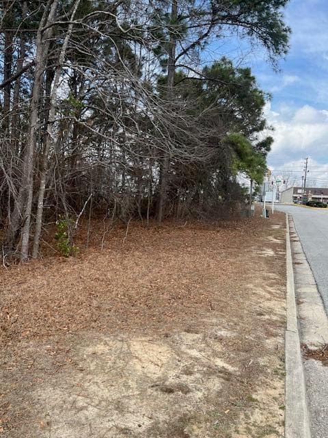 Unimproved Land at 2868 Tobacco Road, Hephzibah, GA 30815, photo 2 of 10