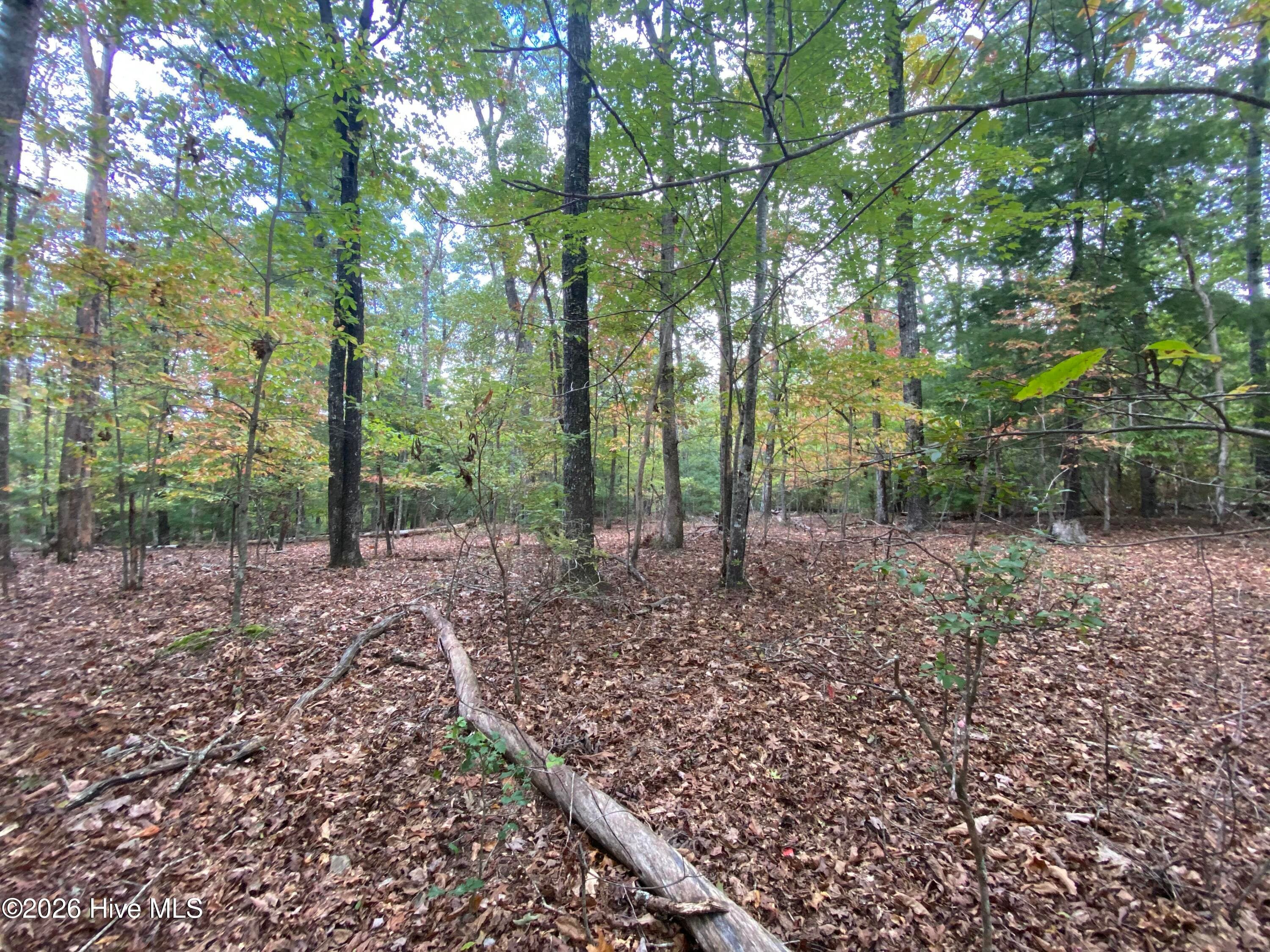 Wooded at 14 14 Mission Ridge, Hayesville, NC 28904, Hayesville, photo 8 of 14