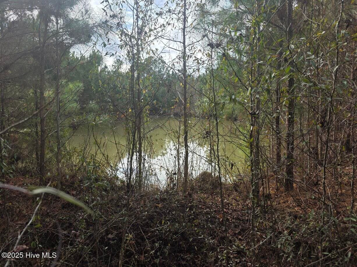 Undeveloped at 9093 Near 9093 Joe Brown Highway N, Bladenboro, NC 28320, photo 2 of 3