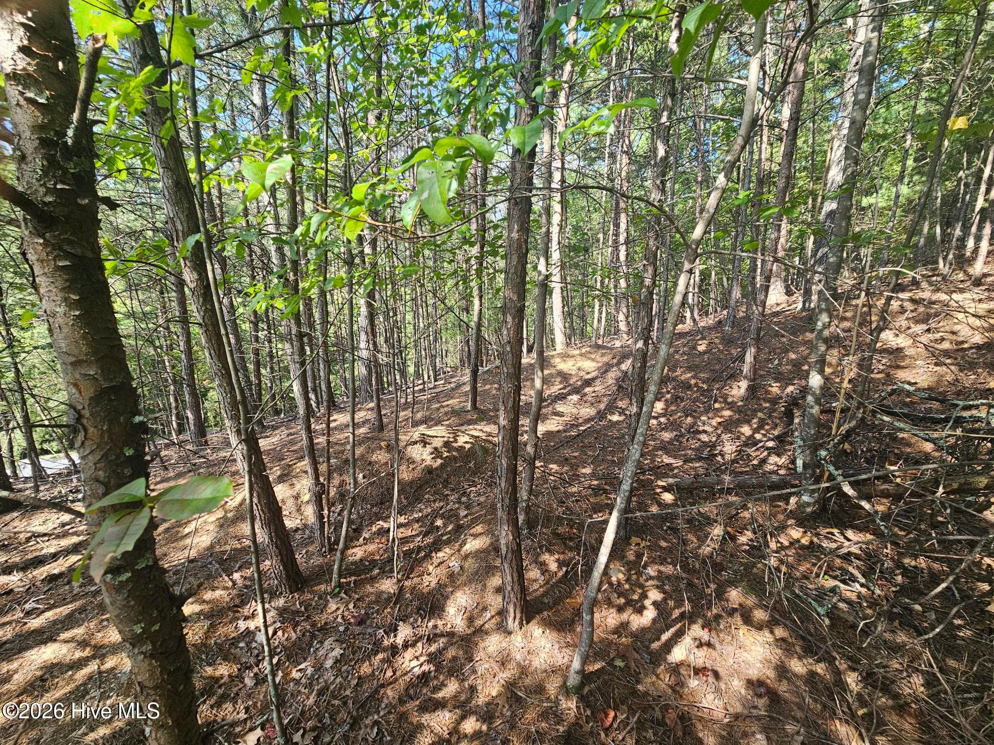 Residential Lot at Lot 76 Wildcat Drive, Murphy, NC 28906, photo 4 of 11