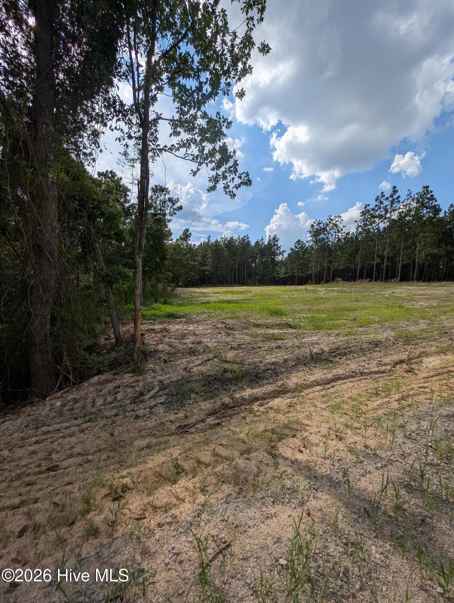 Residential Lot at 270 1-R Charles Road, Eagle Springs, NC 27242, photo 12 of 13