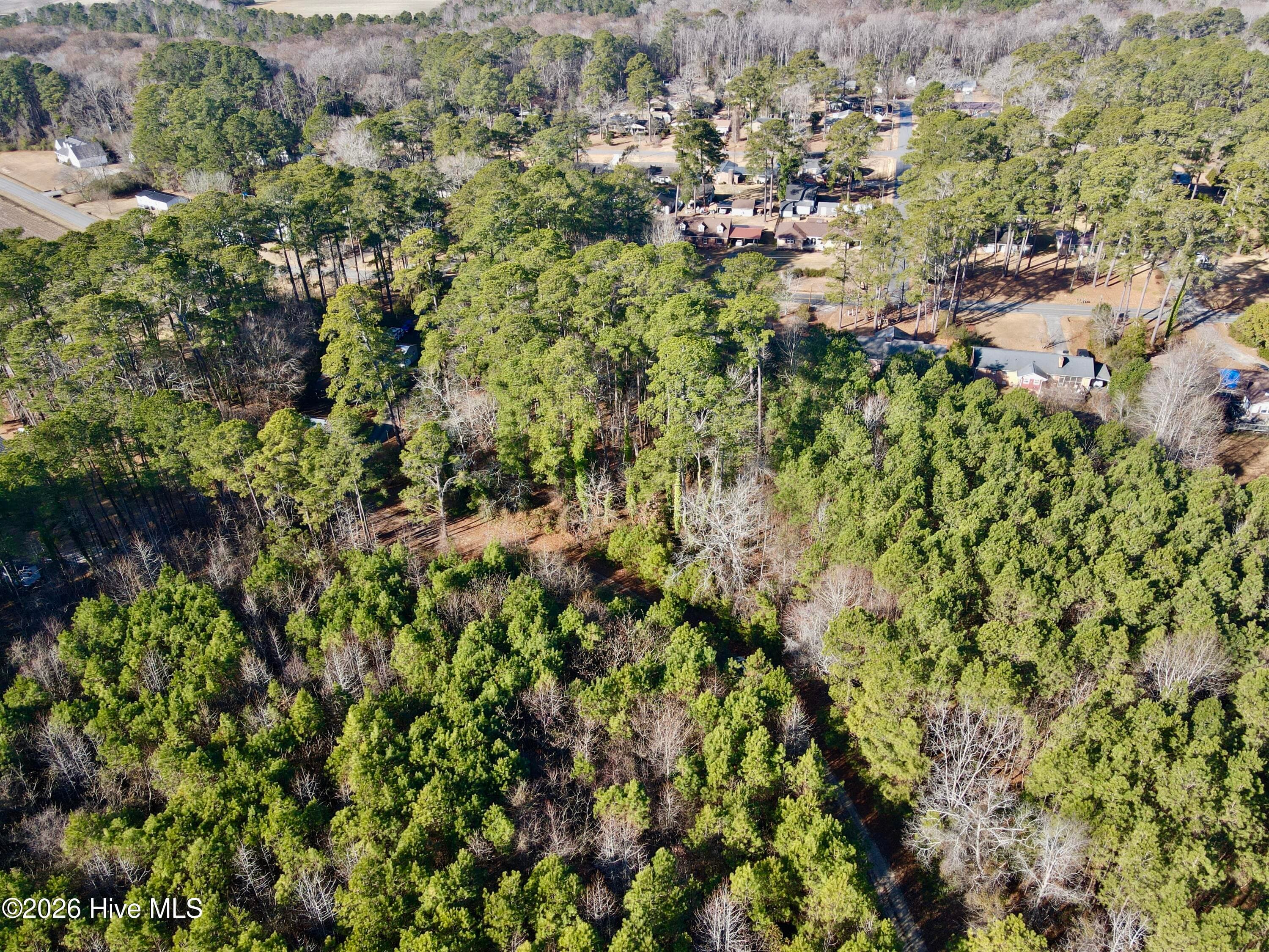 Wooded at 0 Alexander Lane, Williamston, NC 27892, photo 8 of 11