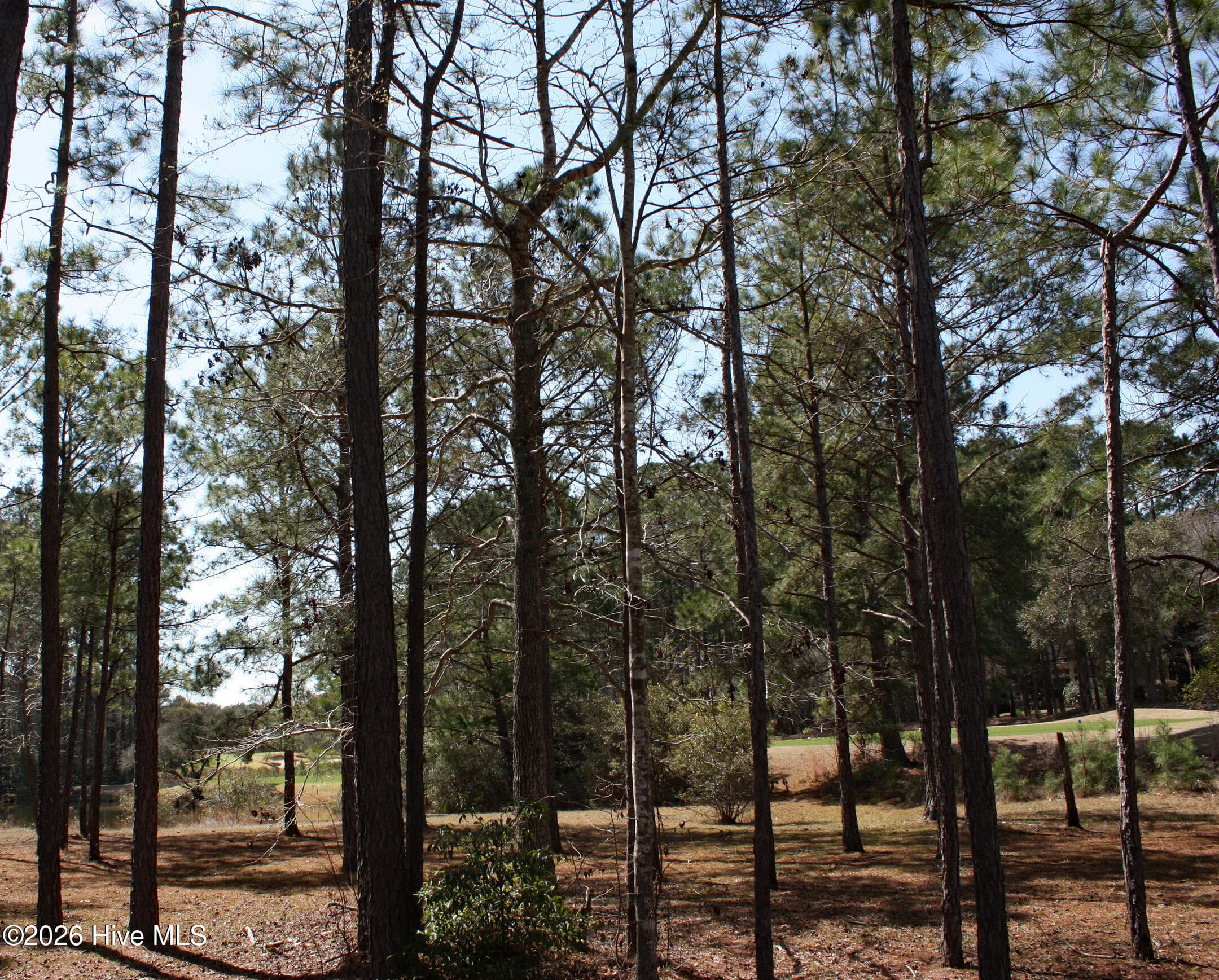 Residential Lot at 569 12 Lindgrove Place SW, Ocean Isle Beach, NC 28469, photo 7 of 25
