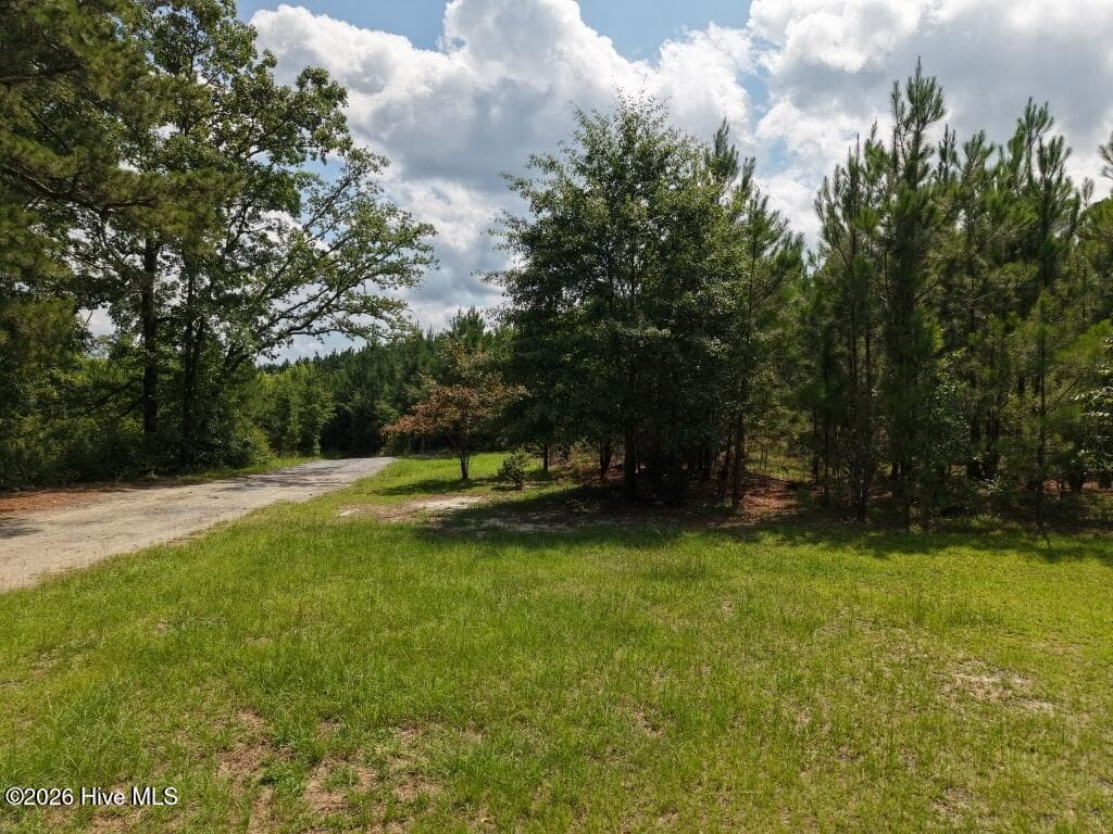 Residential Lot at 1581 Doubs Chapel Road, West End, NC 27376, photo 5 of 10