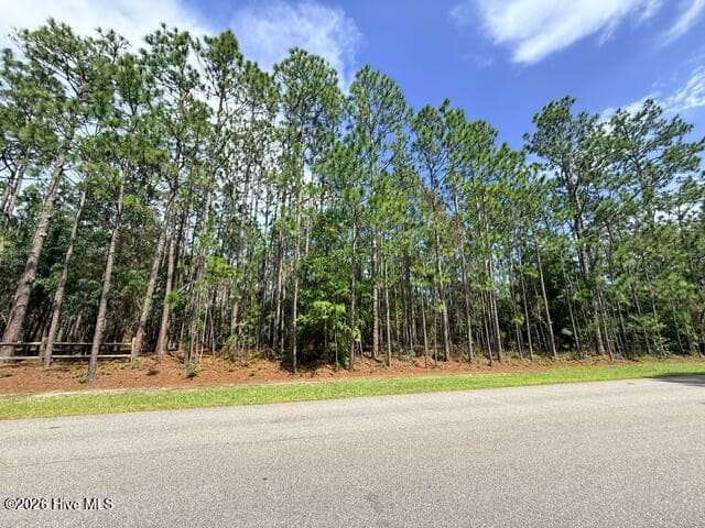 Property is to right of the fence - L-26 & 27 26/27 Eden Drive, Boiling Spring Lakes, NC 28461