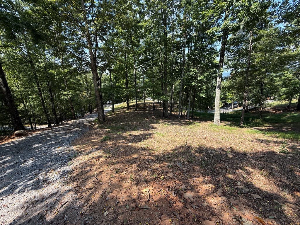 Residential Lot at 123 Madison Lane, Murphy, NC 28906, photo 7 of 10