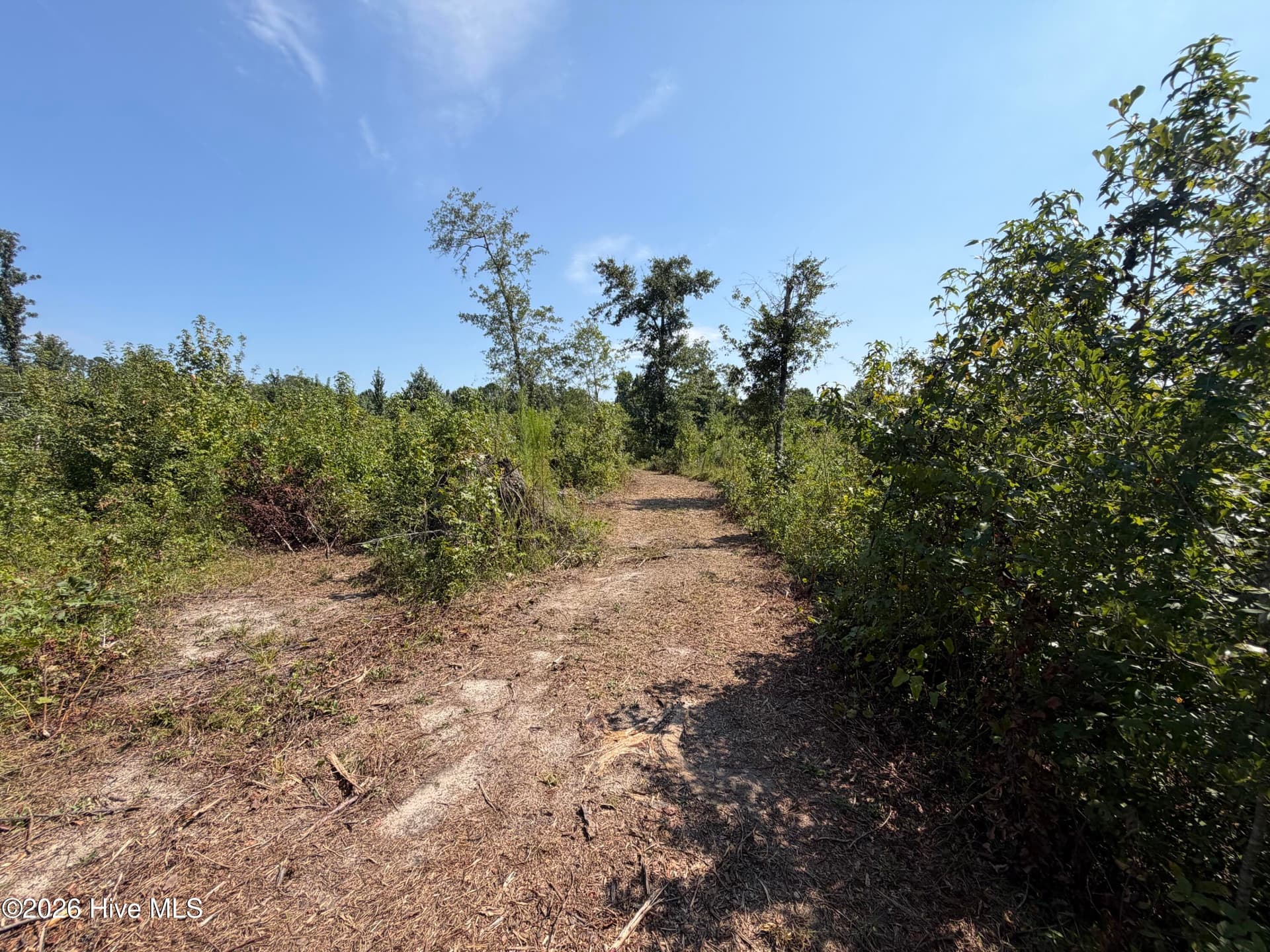 Residential Lot at 0 0 Poole Melton Road, Blythe, GA 30805, photo 10 of 15