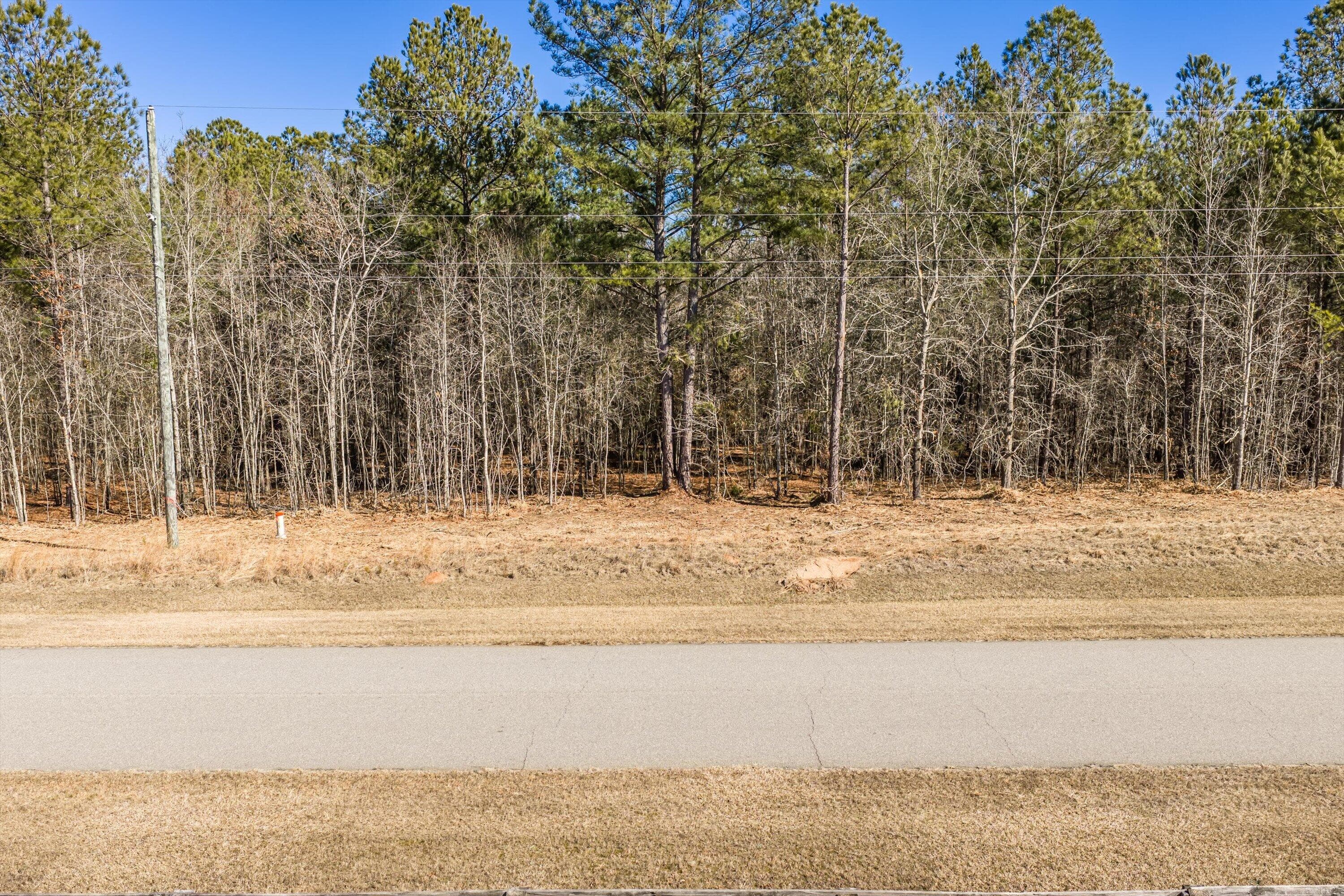 Residential Lot at 1036 116 Chennault Drive, Tignall, GA 30668, photo 8 of 18