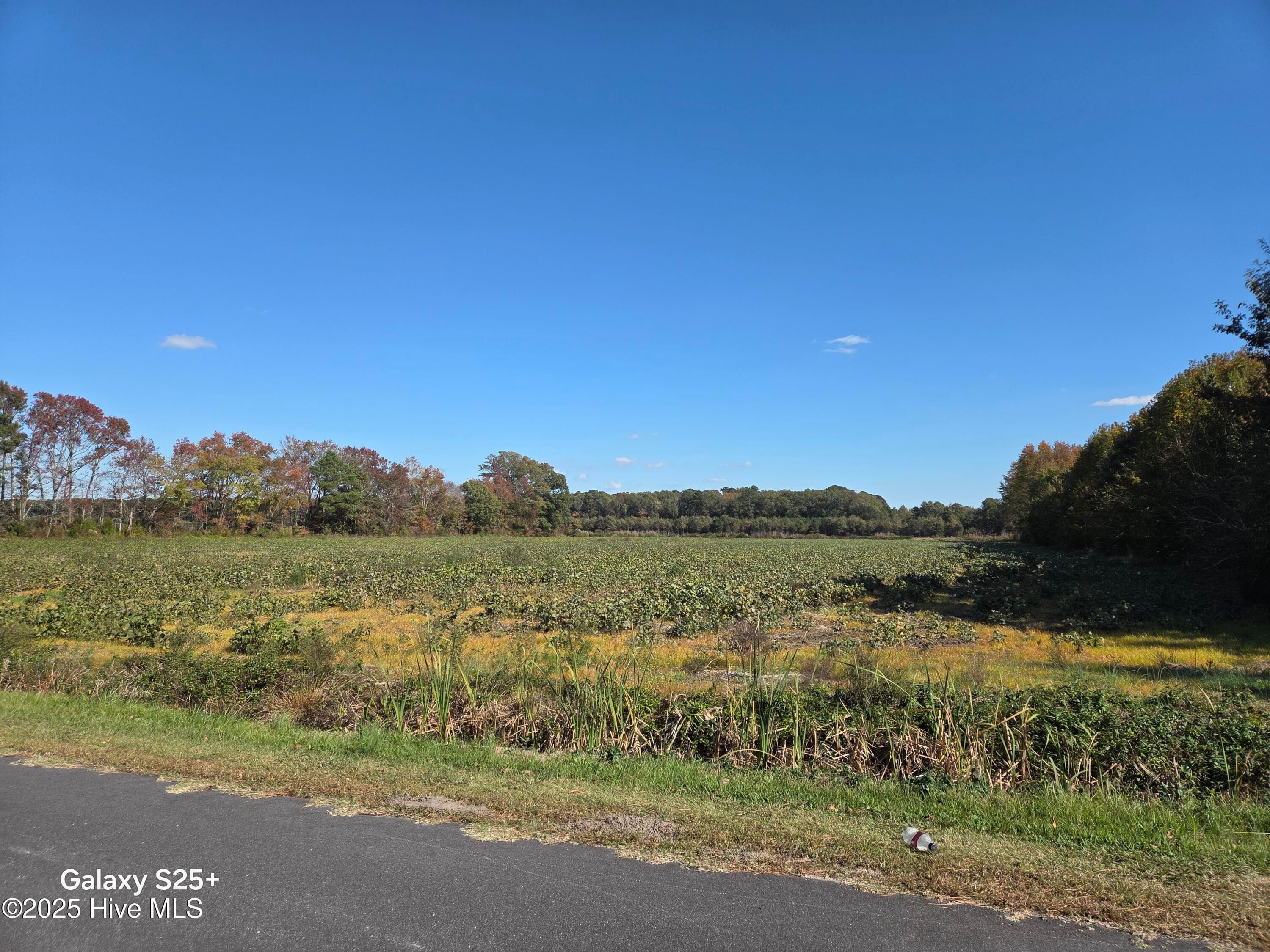 Residential Lot at 204 4 Whitemon Lane, Edenton, NC 27932, photo 4 of 14