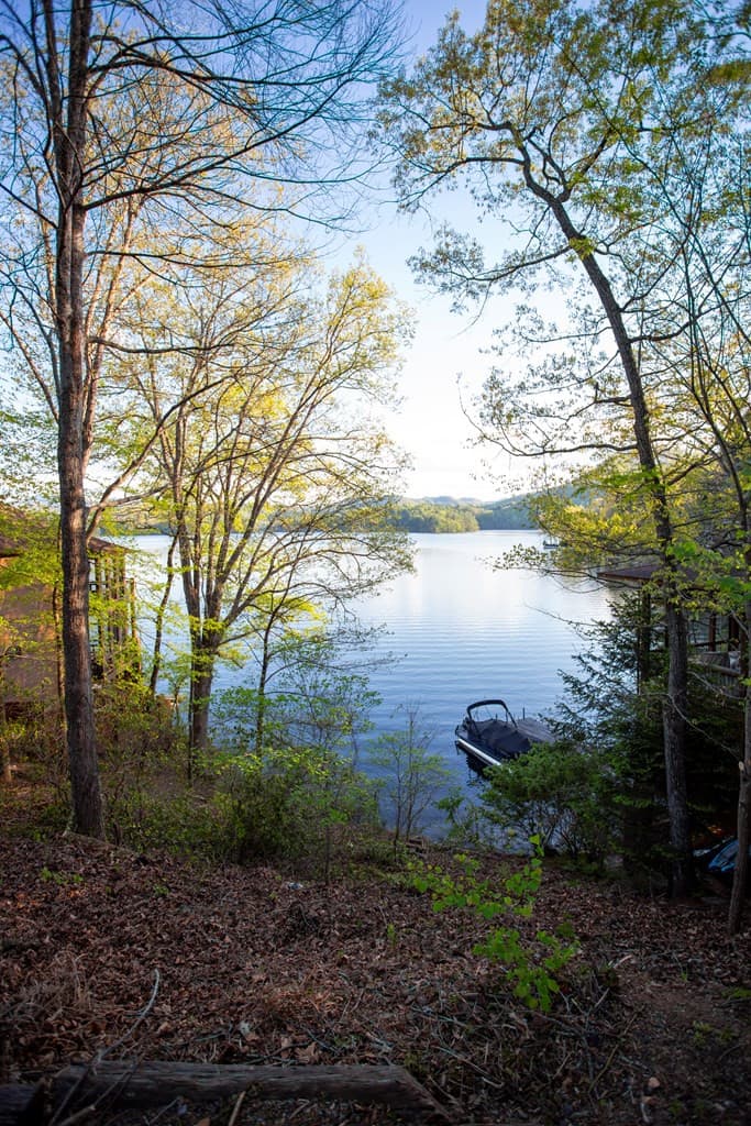 Land at 10 Santeetlah Lakeside, Robbinsville, NC 28771, photo 5 of 7