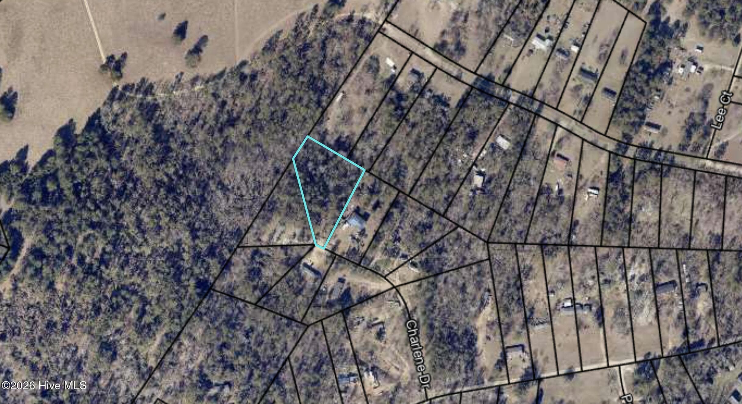 Undeveloped at 160 7 Charlene Drive, Hephzibah, GA 30815, photo 11 of 13