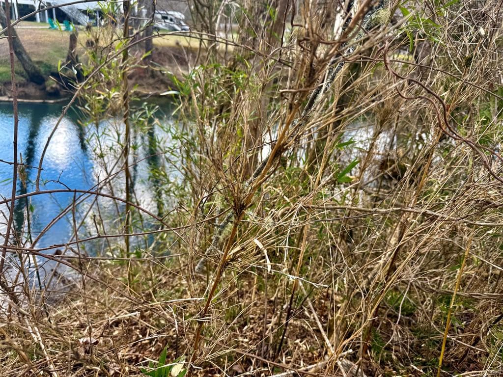 20 20 Butterball Boulevard, Murphy, NC 28906