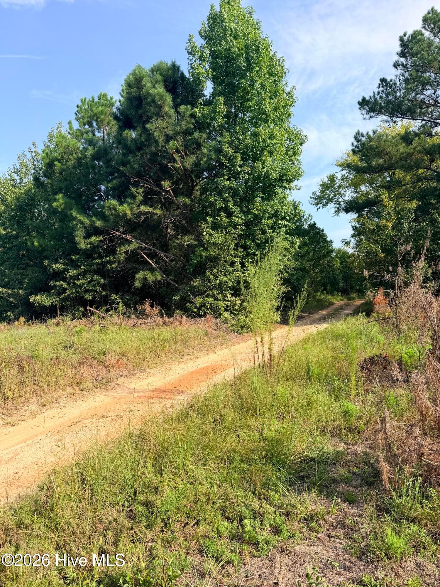Wooded at 141 Autumn Chase Lane, Beech Island, SC 29842, photo 2 of 3