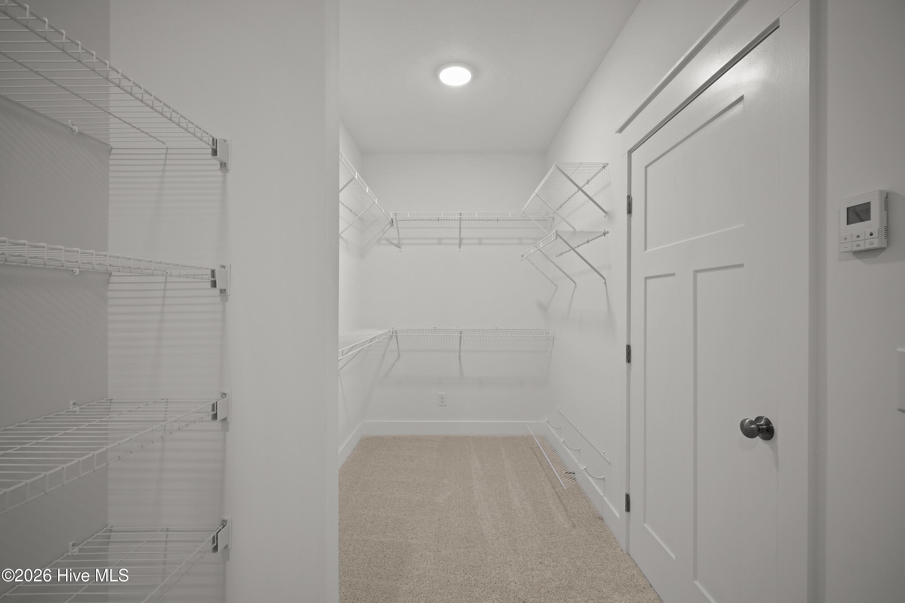 Massive walk in closet! - 1096 Bellingham Drive, Beech Island, SC 29842