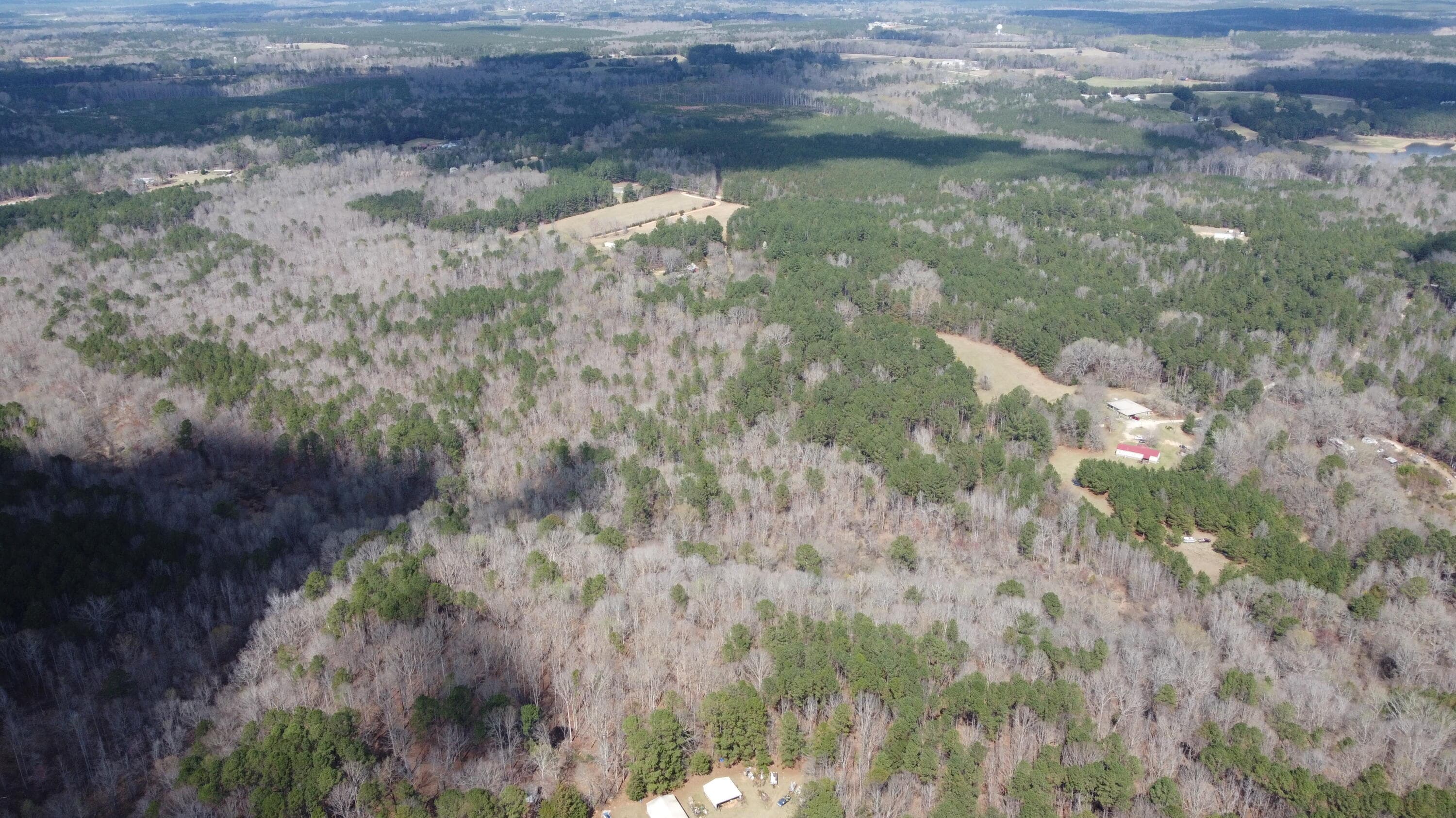 Undeveloped at 27.2 Ac John Lewis Drive, Lincolnton, GA 30817, photo 8 of 12