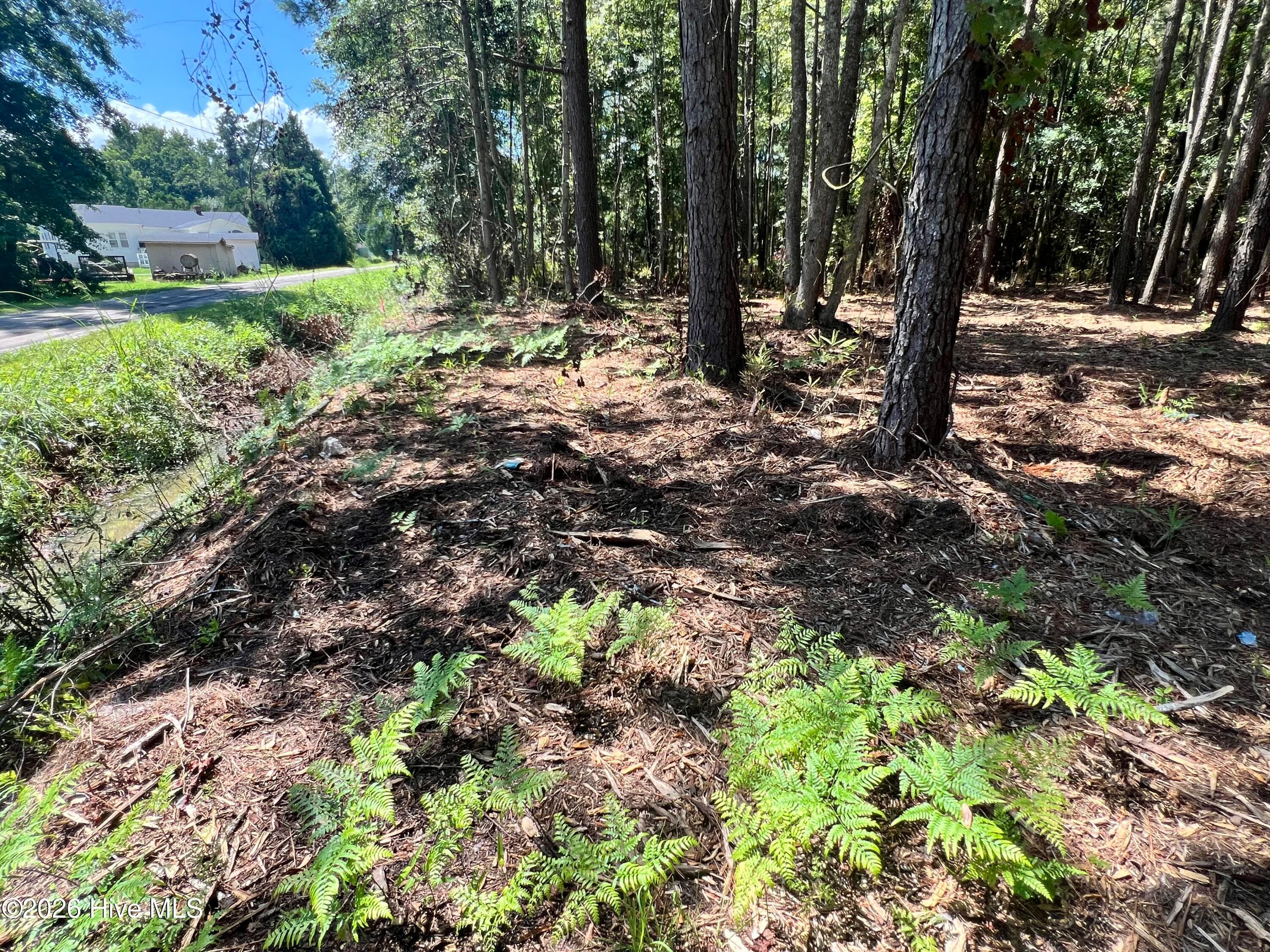 Residential Lot at Lot 2 Elm Street, Belhaven, NC 27810, photo 5 of 6