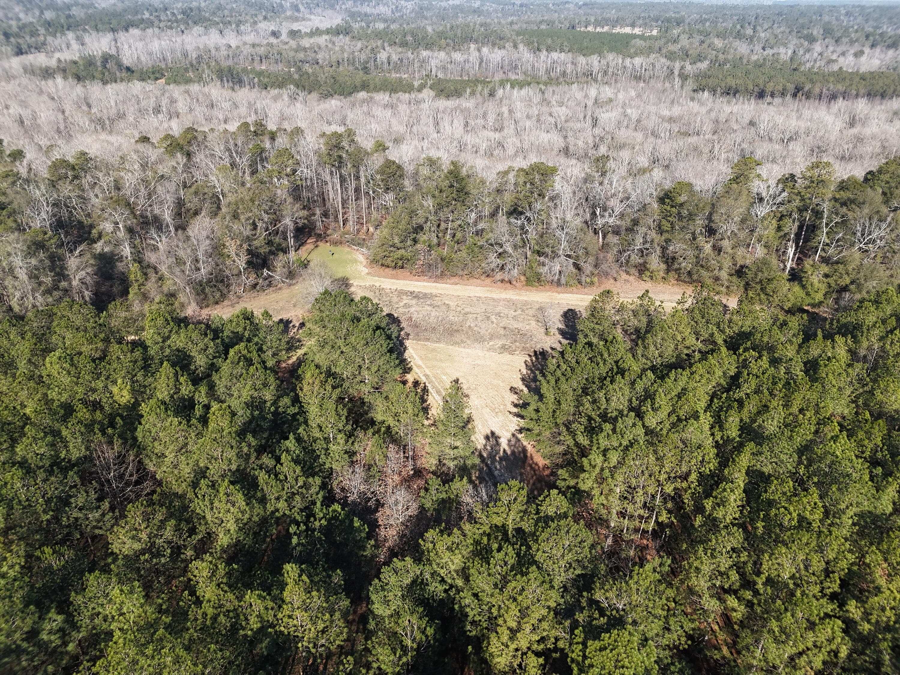 Undeveloped at 0 Ponderosa Road, Waynesboro, GA 30830, photo 8 of 45