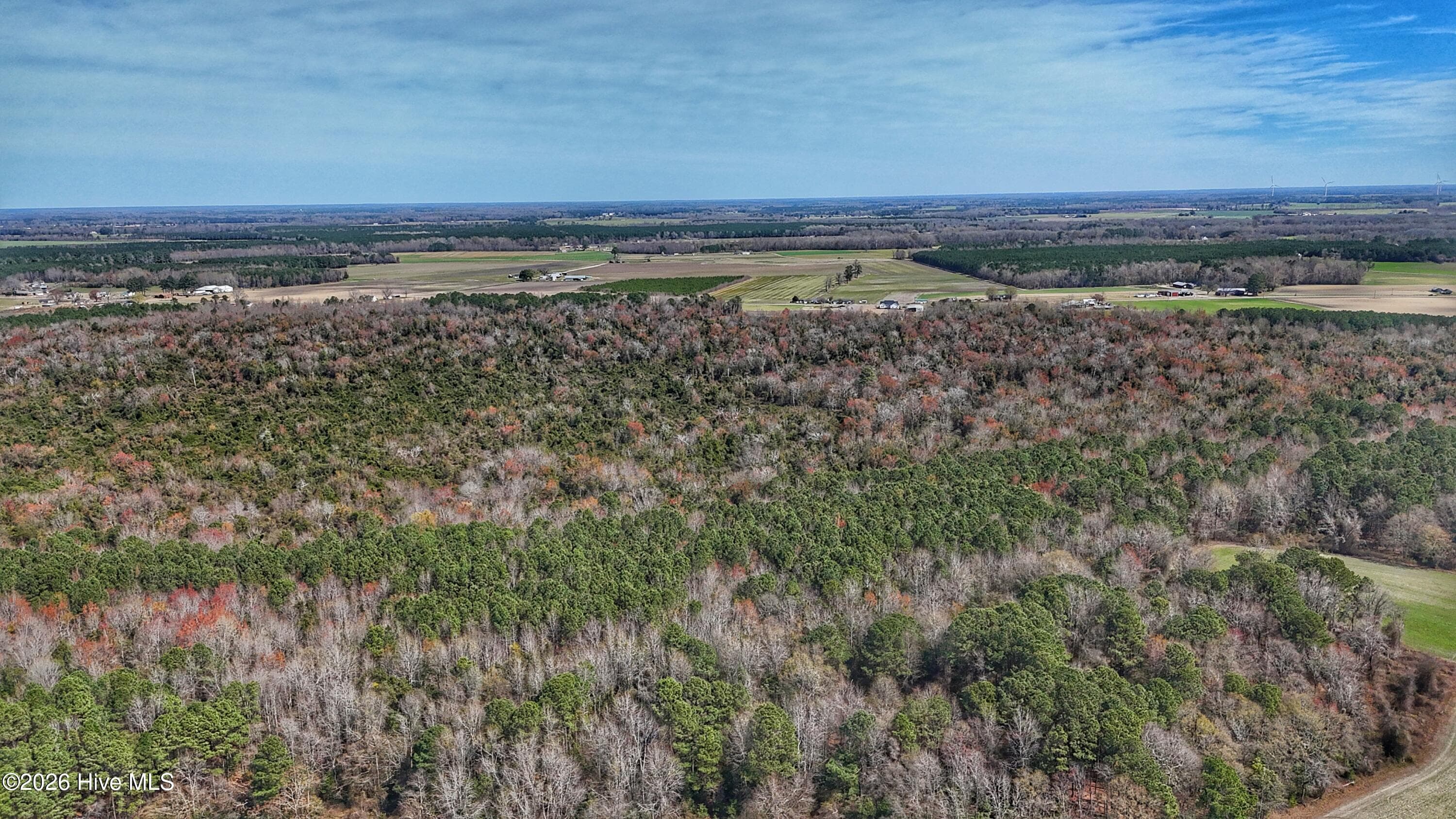 Wooded at 1612 Rocky Hock Landing Road, Edenton, NC 27932, photo 24 of 45