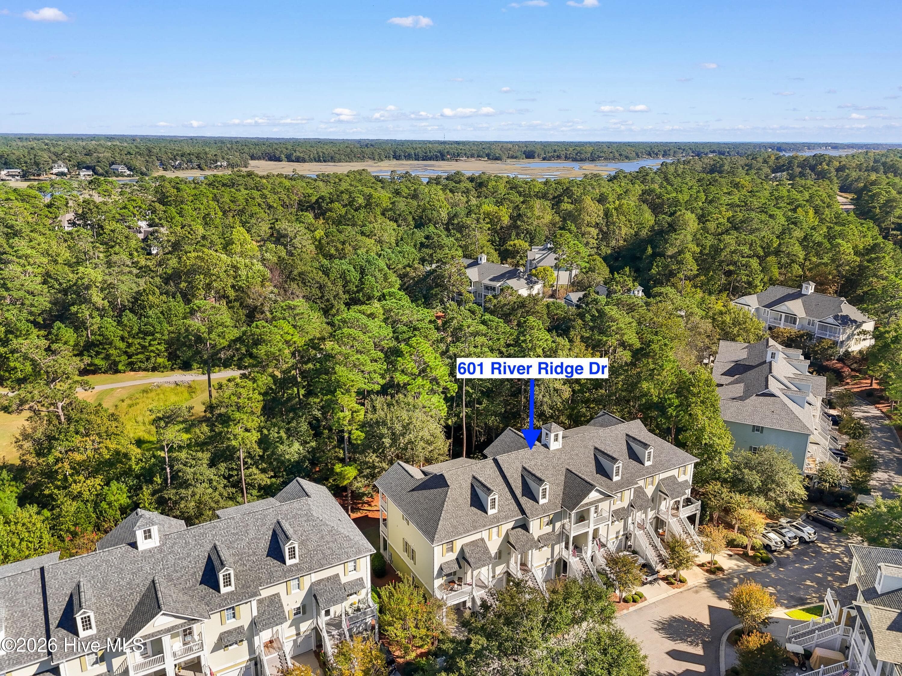 Townhouse at 601 River Ridge Drive Unit 3, Shallotte, NC 28470, photo 40 of 49