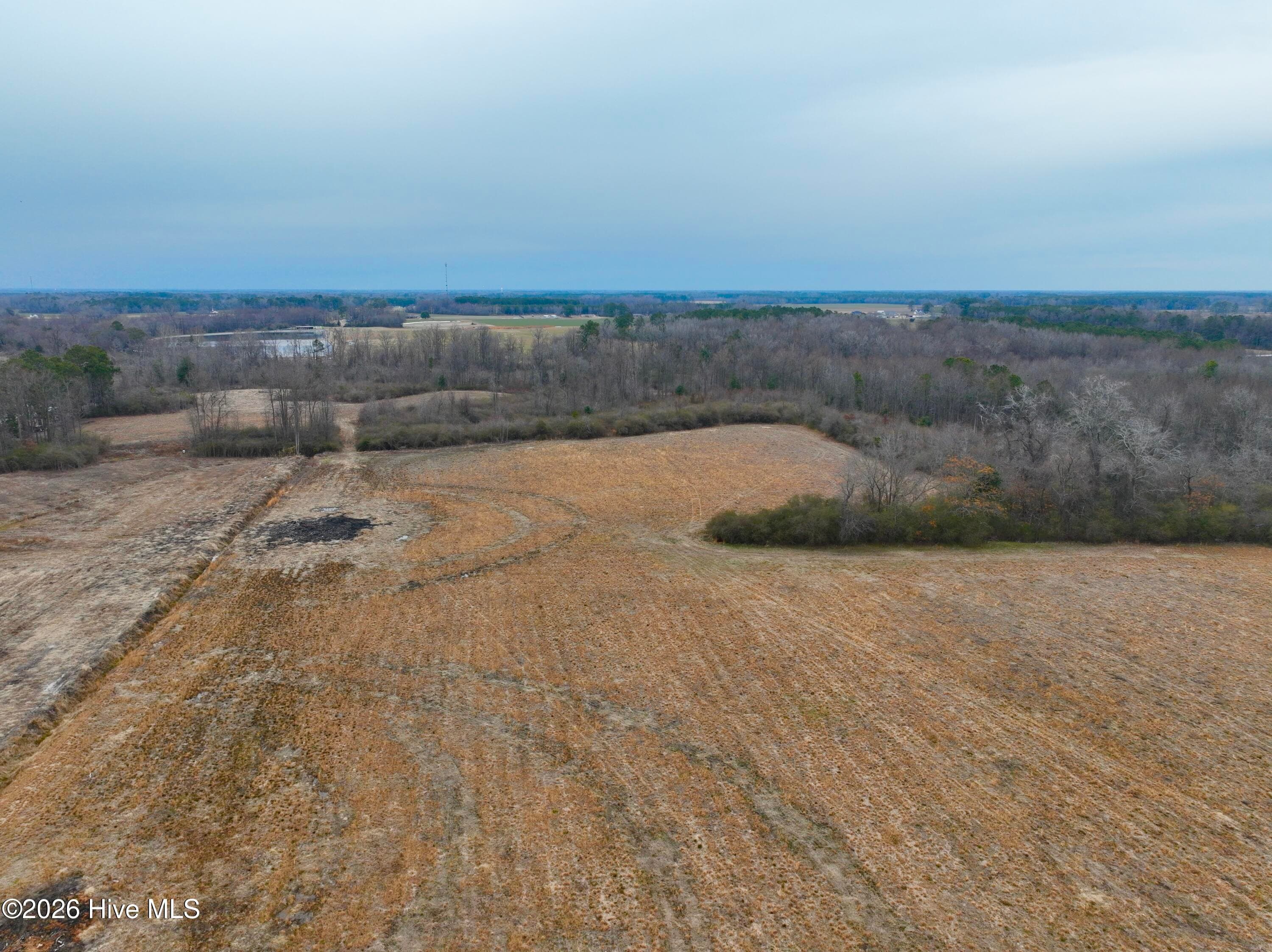 Undeveloped at 0 Nc 222 Hwy, Fremont, NC 27830, photo 14 of 14