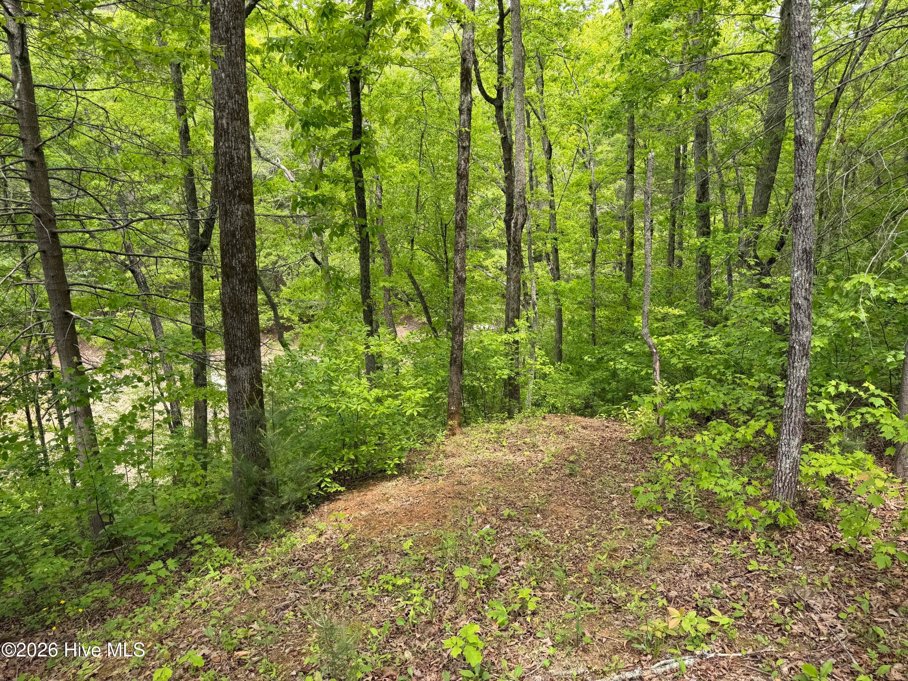 Residential Lot at Multi Lots Black Fox Drive, Murphy, NC 28906, photo 13 of 15