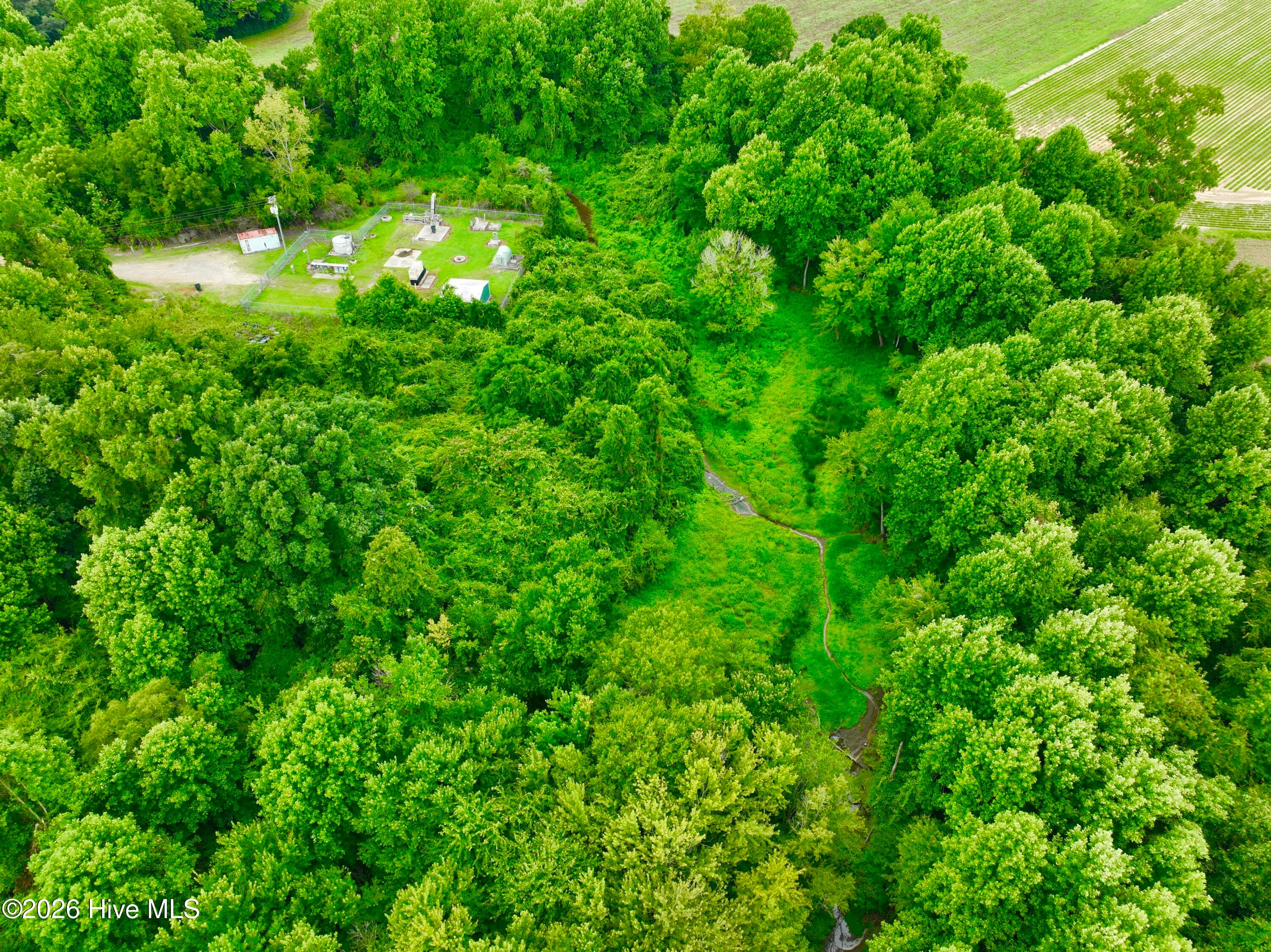Farm at 478 Davis Mill Road, Fremont, NC 27830, photo 12 of 21