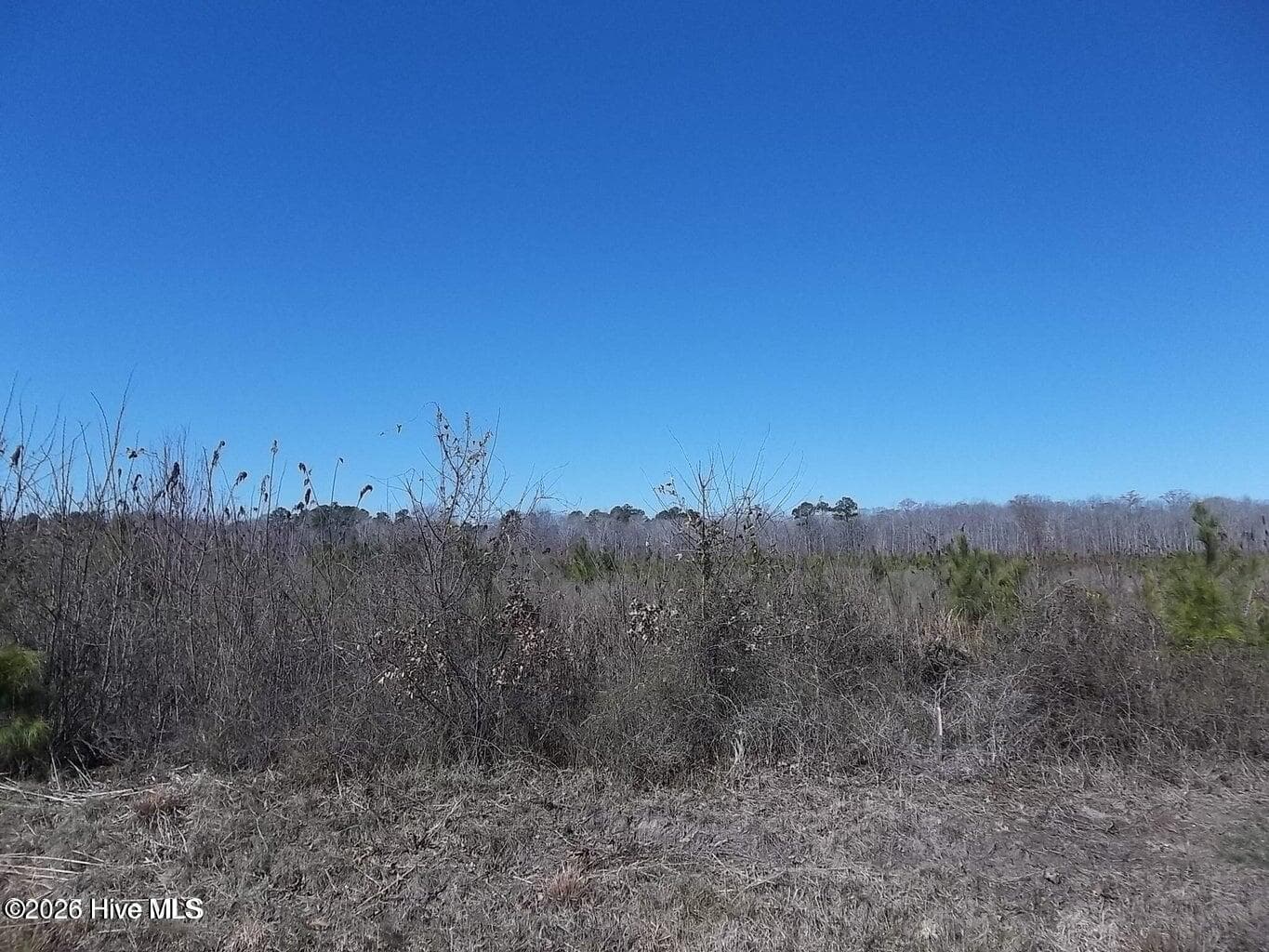 Residential Lot at Tbd 6 Boat Ramp Road, New Hope, NC 27944, photo 2 of 2