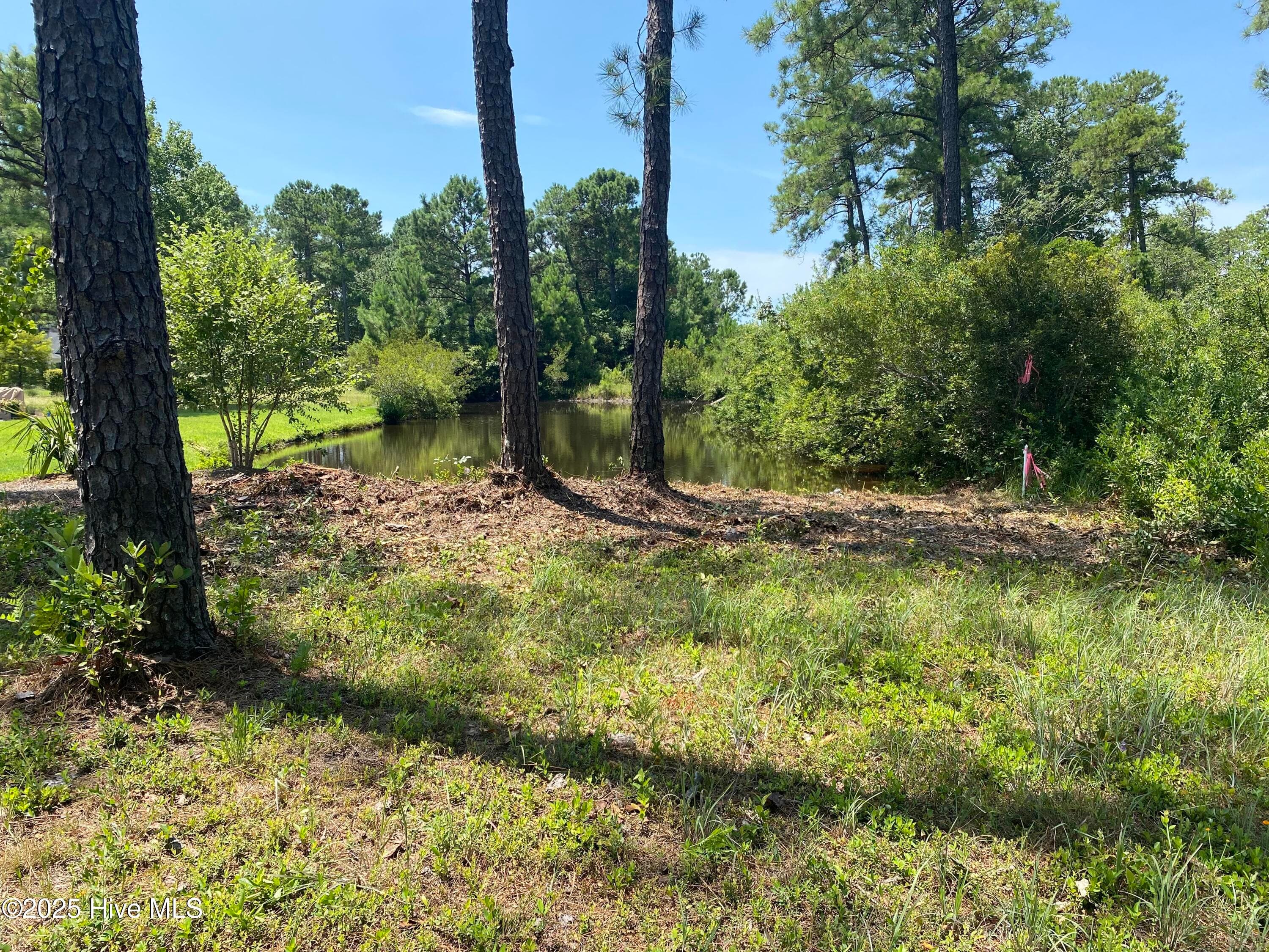Residential Lot at 6649 65 Summerhill Glen SW, Ocean Isle Beach, NC 28469, photo 12 of 21