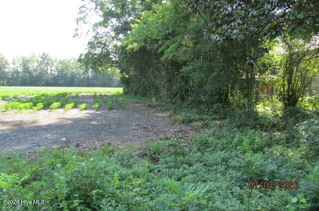 Farm at 203 E Rockingham Road, Maxton, NC 28364, photo 3 of 3