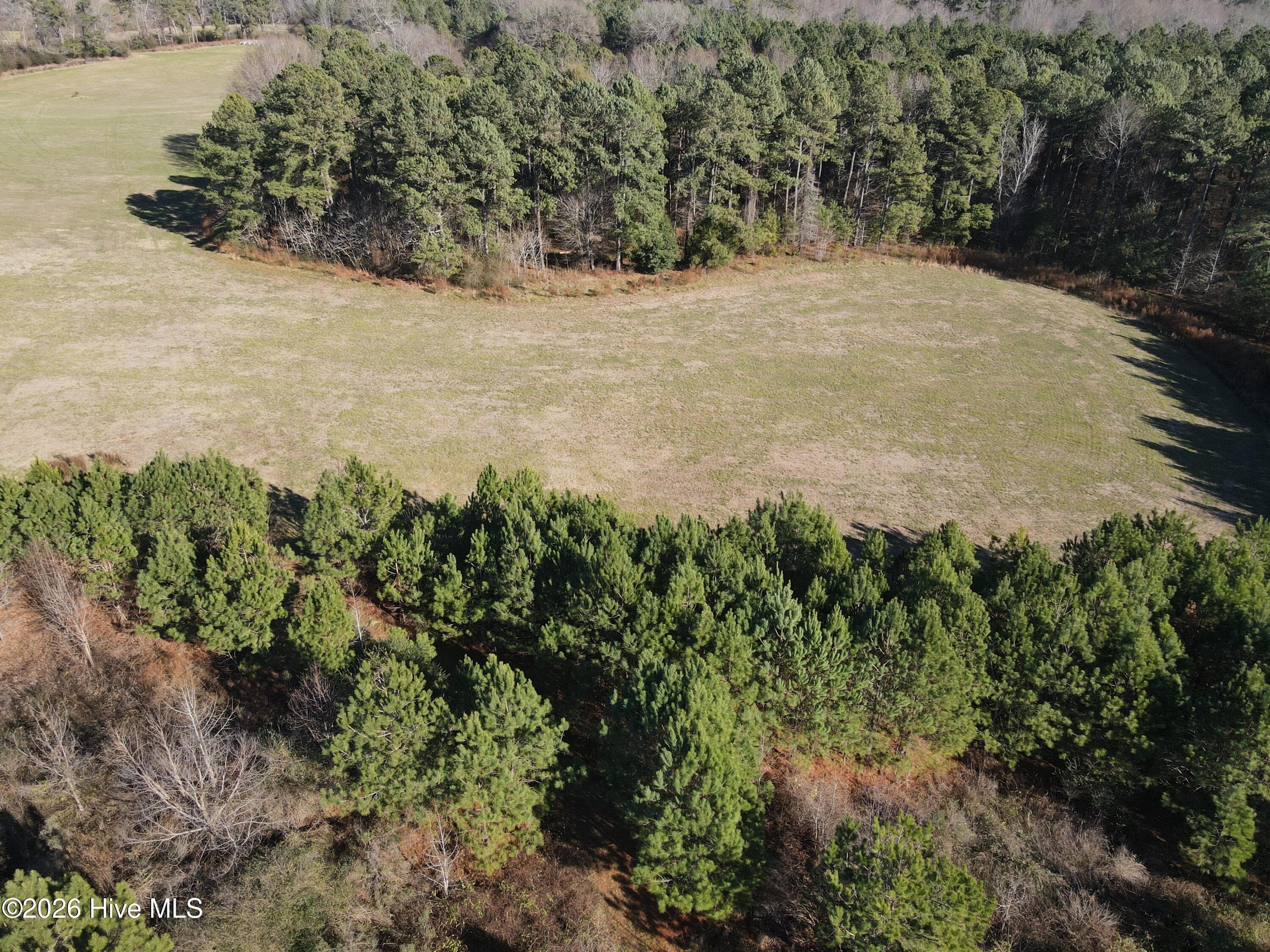 Agriculture at 00 Sykes Road, Nashville, NC 27856, photo 2 of 2