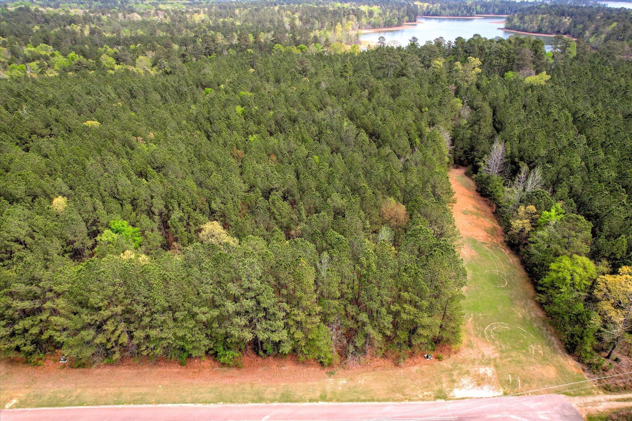 Ariel of Lot 13 Longleaf Pointe - 1078 13 Clinton-Williams Road, Lincolnton, GA 30817