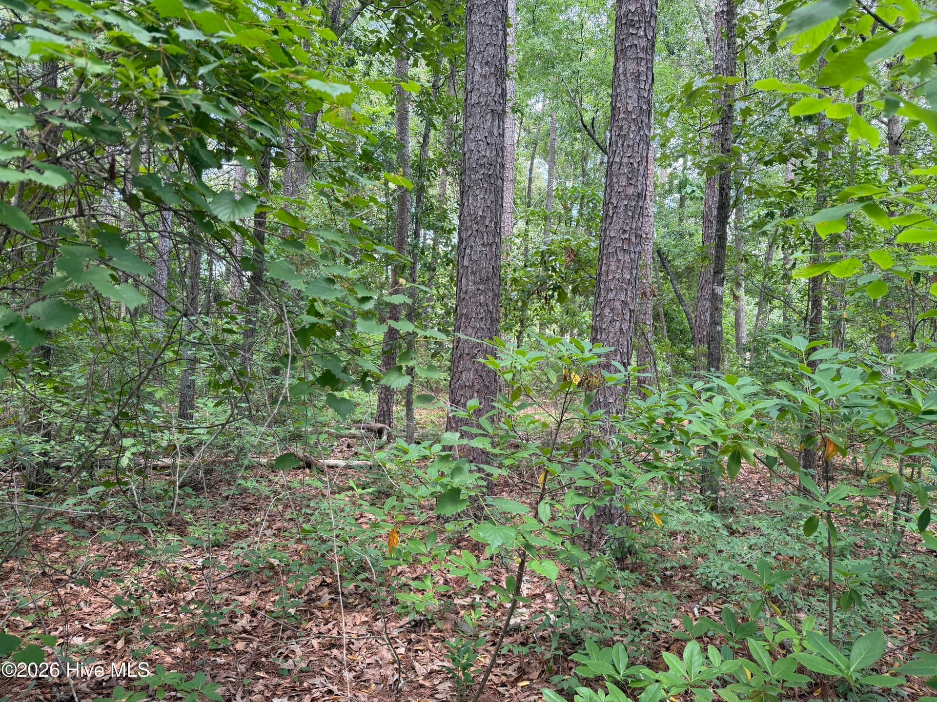 118 66 Ferret Run Lane, New Bern, NC 28562