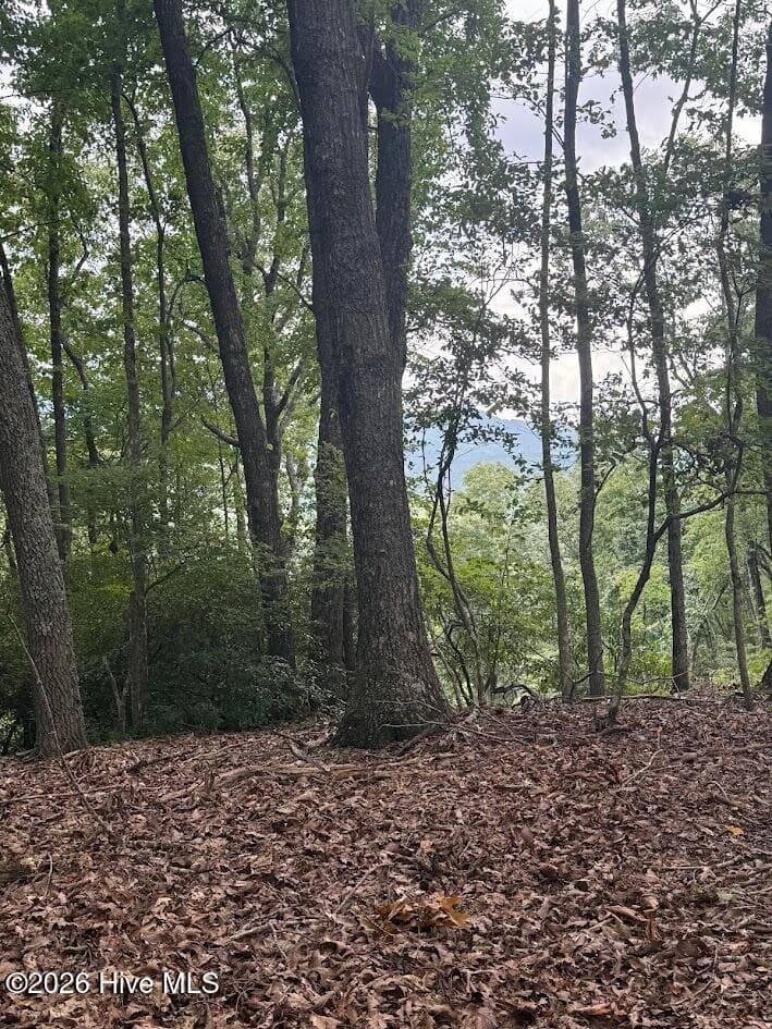 Lot 43 Pine Cove Lane, Murphy, NC 28906