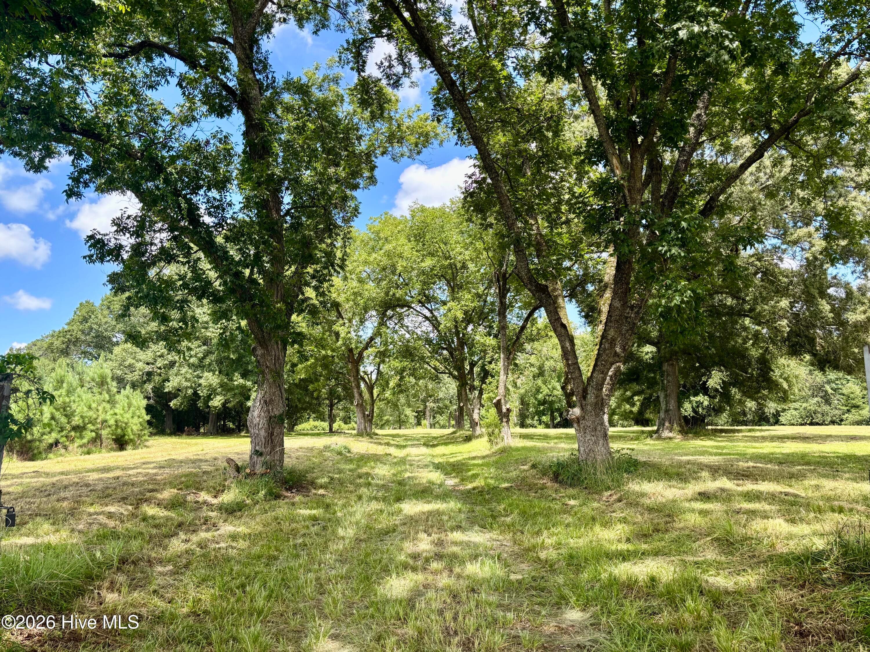 Undeveloped at Tbd Roberdel School Road, Rockingham, NC 28379, photo 2 of 41