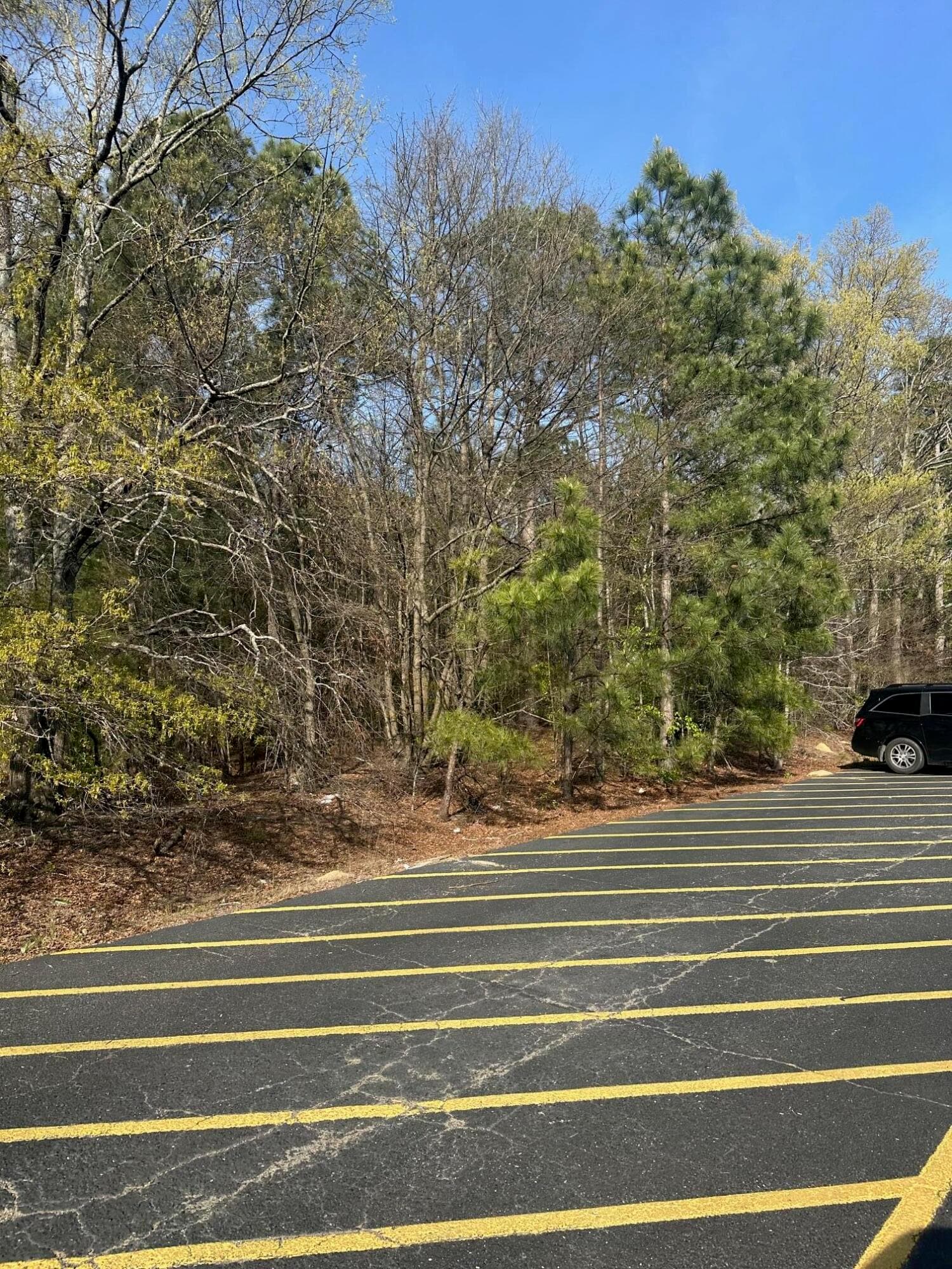South property line along Tractor Supply property - 000 Washington Road, Thomson, GA 30824