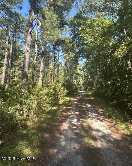 Wooded at Lot 7 7 Venice Lane, Broad Creek, NC 28570, photo 10 of 10