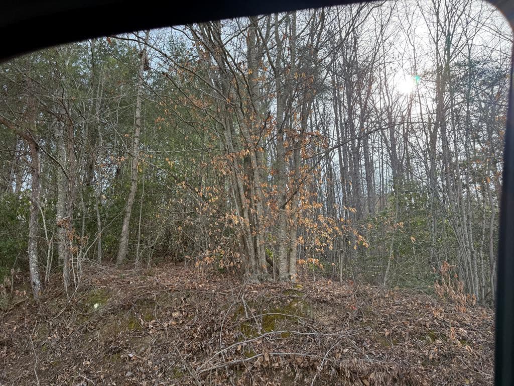 Land at 0 Paradise Street, Murphy, NC 28906, photo 2 of 3
