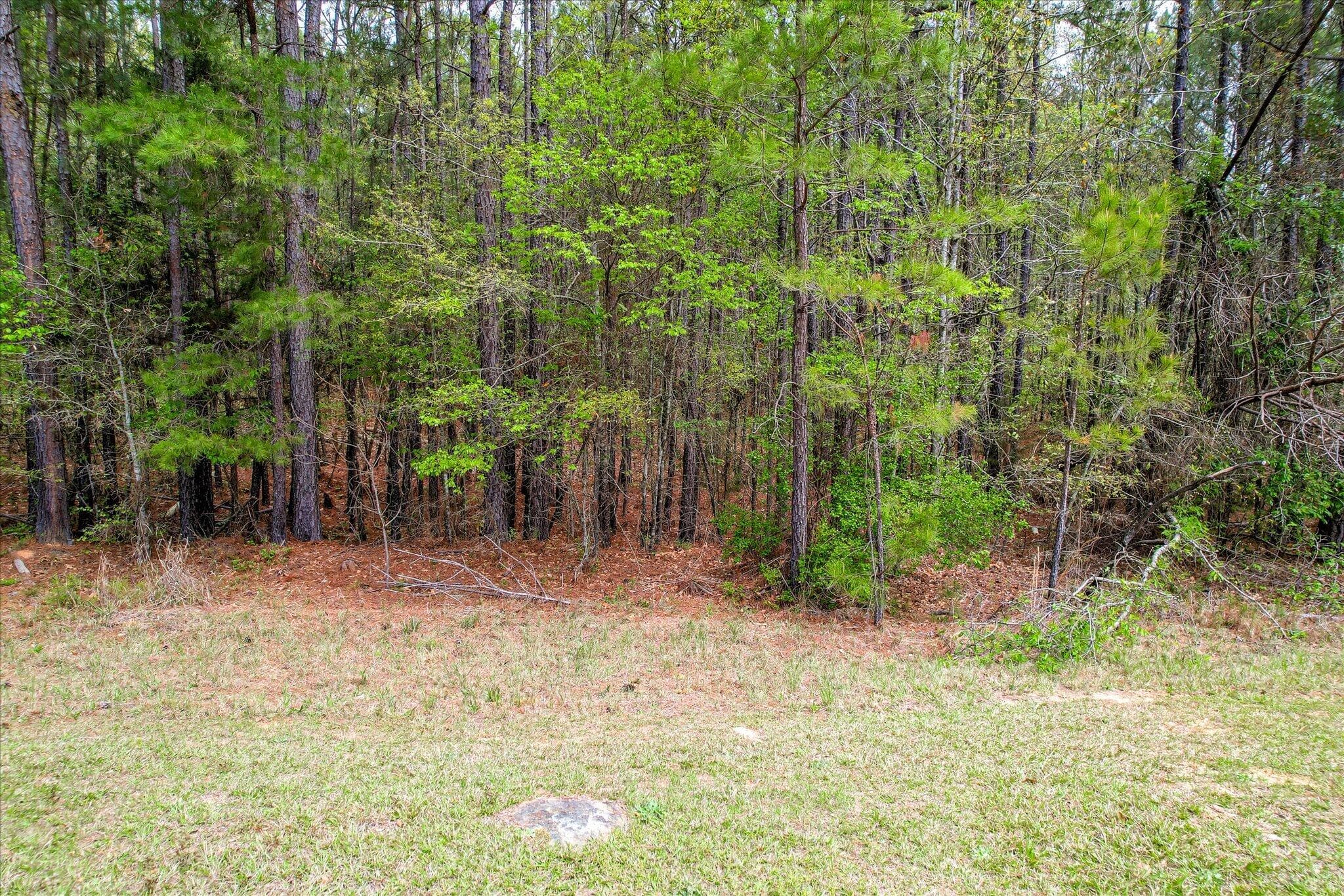 1078 13 Clinton-Williams Road, Lincolnton, GA 30817