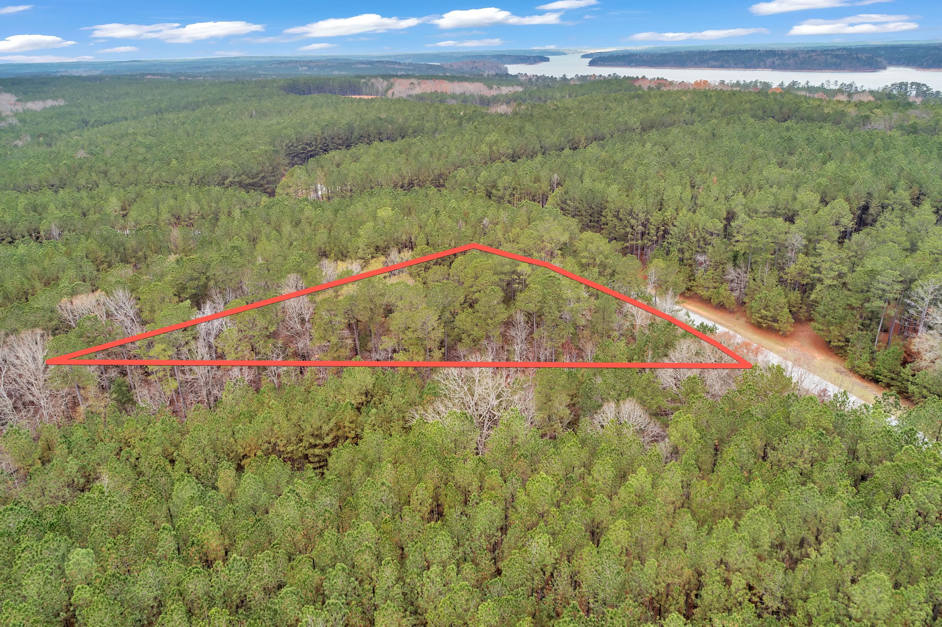 Residential Lot at 1252 294 Rogers Road, Tignall, GA 30668, photo 13 of 29