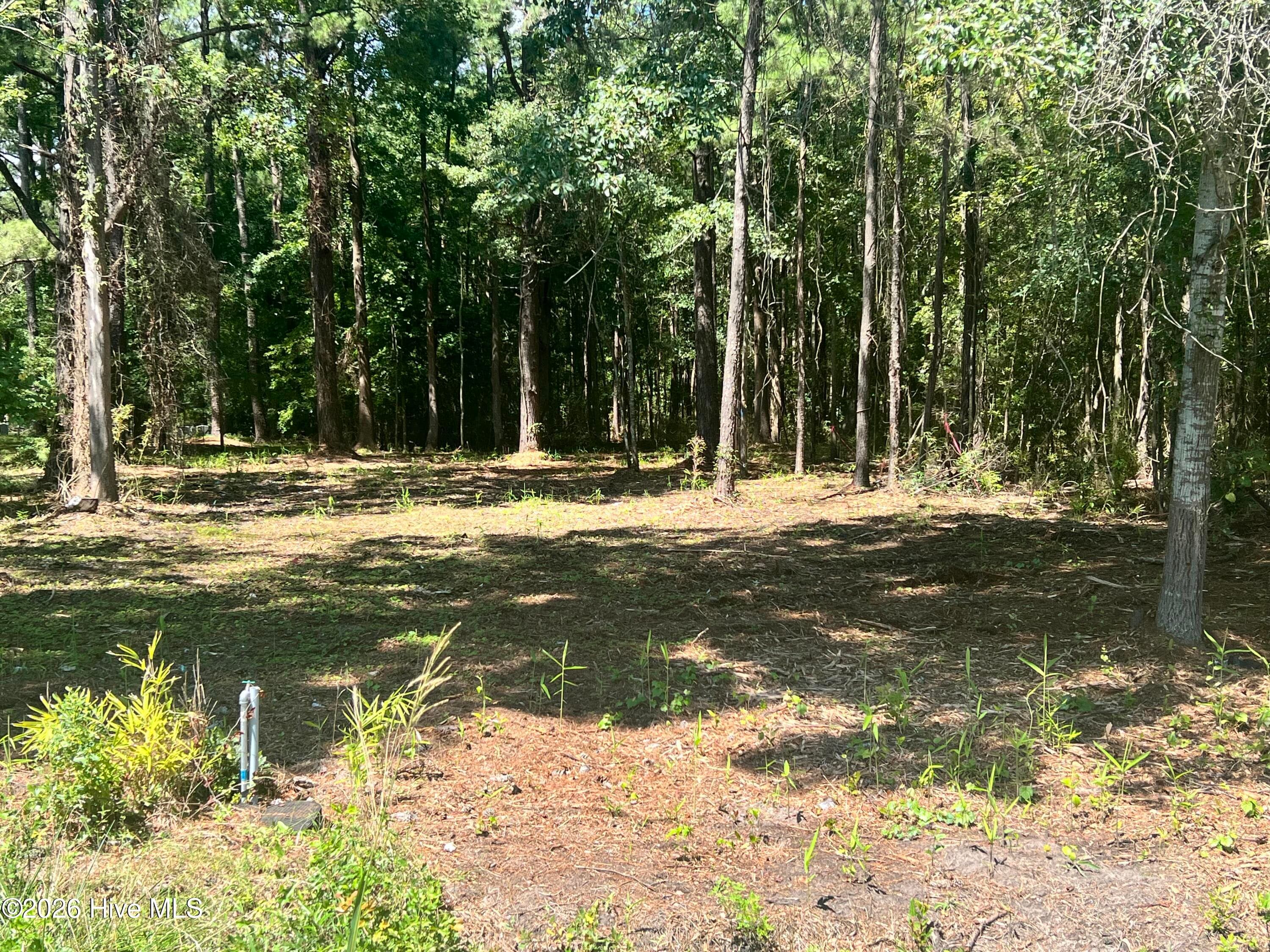 Residential Lot at Lot 4 Elm Street, Belhaven, NC 27810, photo 2 of 6