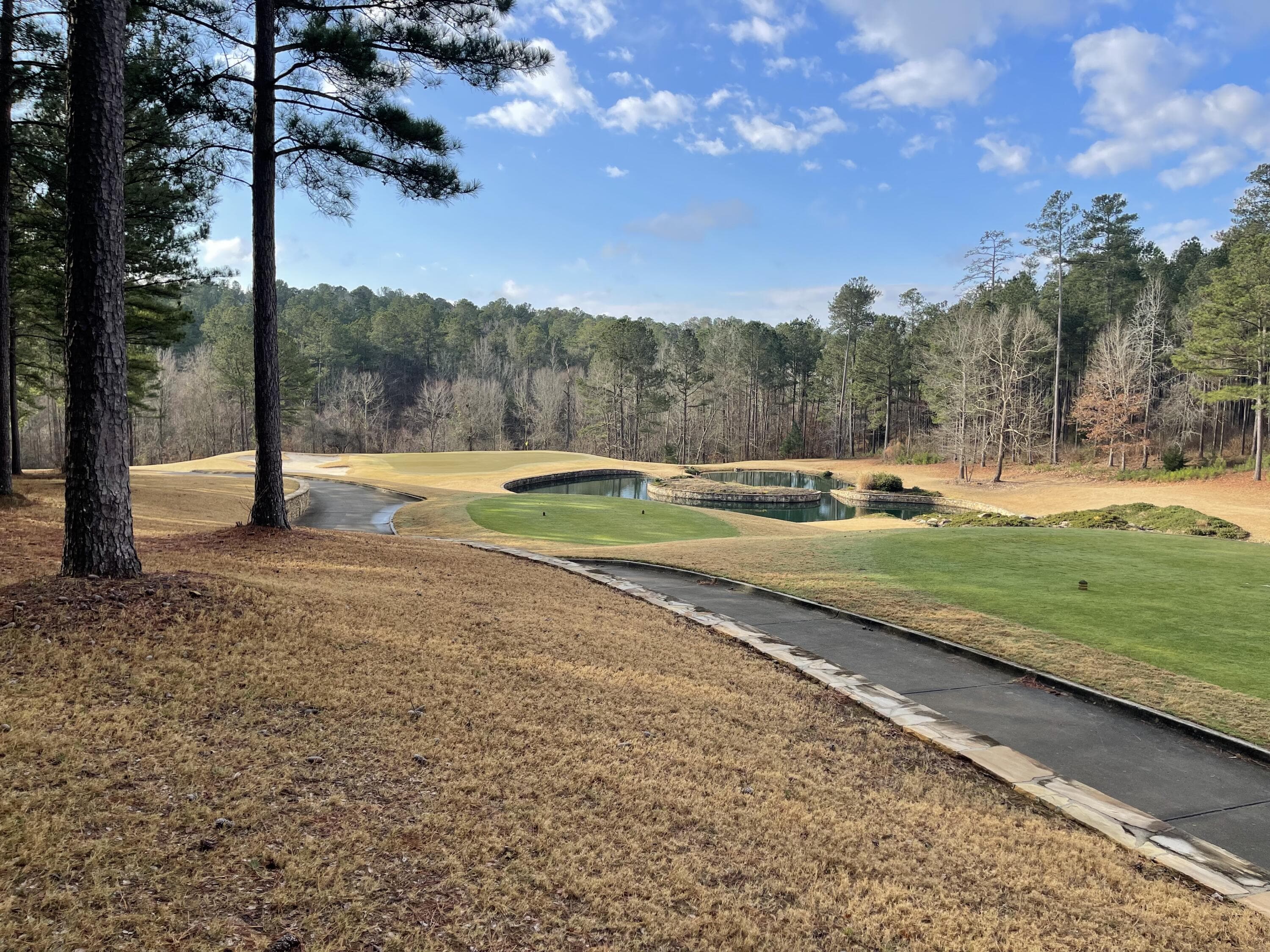 Undeveloped at Lot L-22 Militia Loop, North Augusta, SC 29860, photo 4 of 12