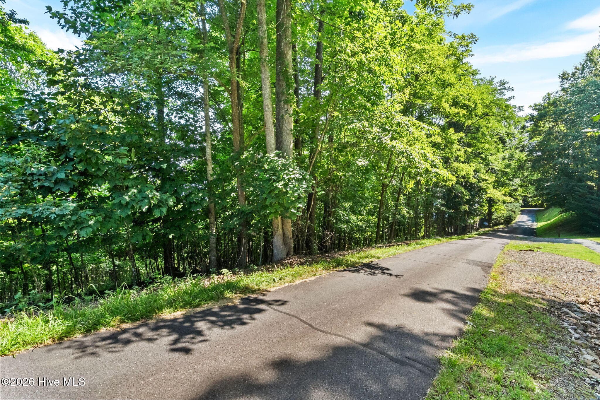 Undeveloped at 46 Buck Ridge Drive, Murphy, NC 28906, photo 13 of 17