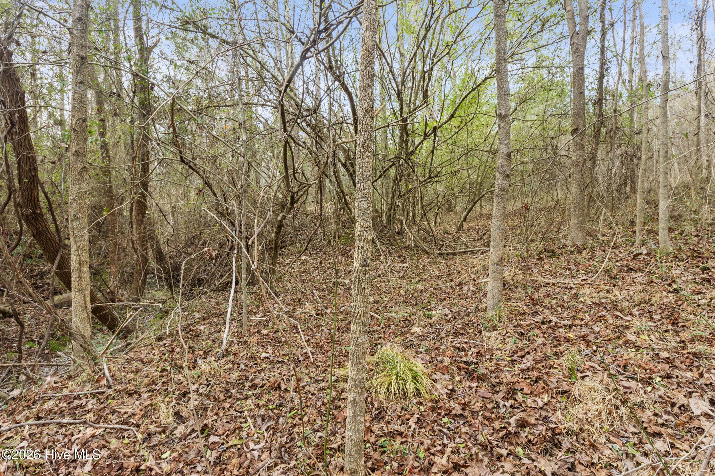 Undeveloped at 2711 Old Airport Road, New Bern, NC 28562, photo 16 of 23