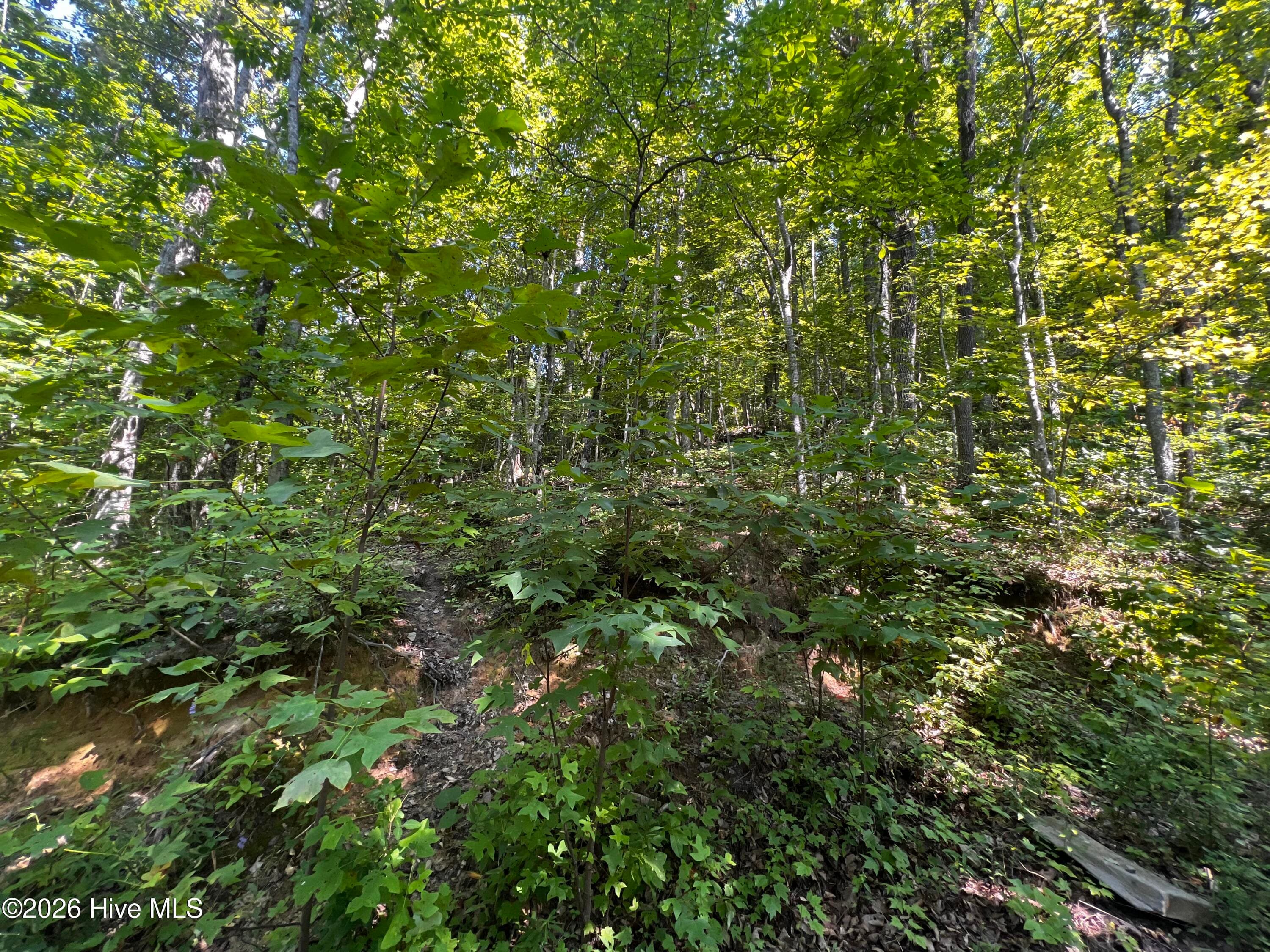 00 Kenneths Cove, Topton, NC 28781