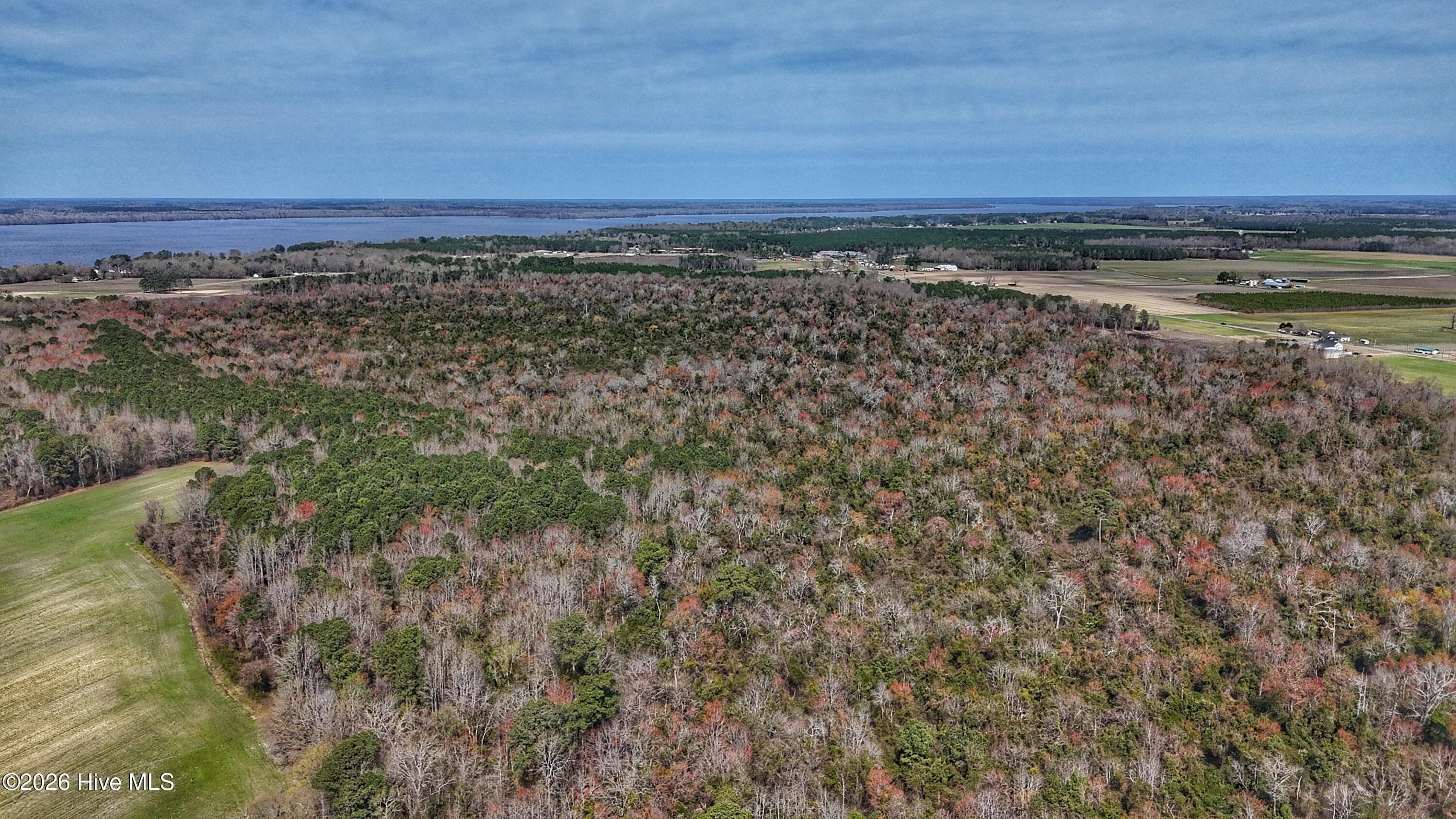 Wooded at 1612 Rocky Hock Landing Road, Edenton, NC 27932, photo 30 of 45