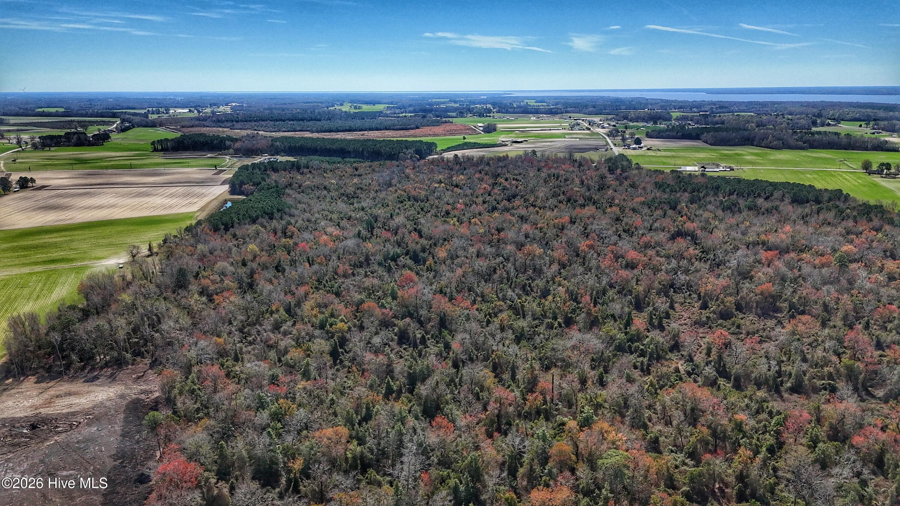Wooded at 1612 Rocky Hock Landing Road, Edenton, NC 27932, photo 16 of 45