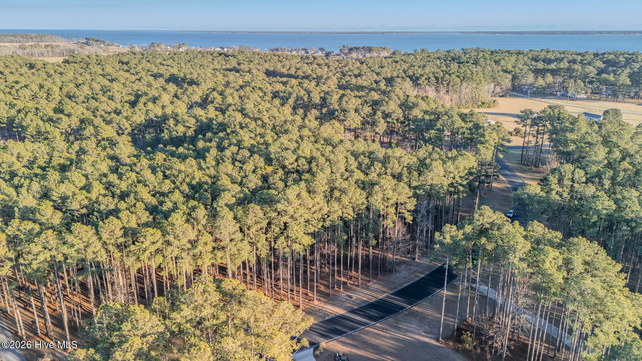 Wooded at 88 22 Cape Hatteras Point, Oriental, NC 28571, photo 4 of 9